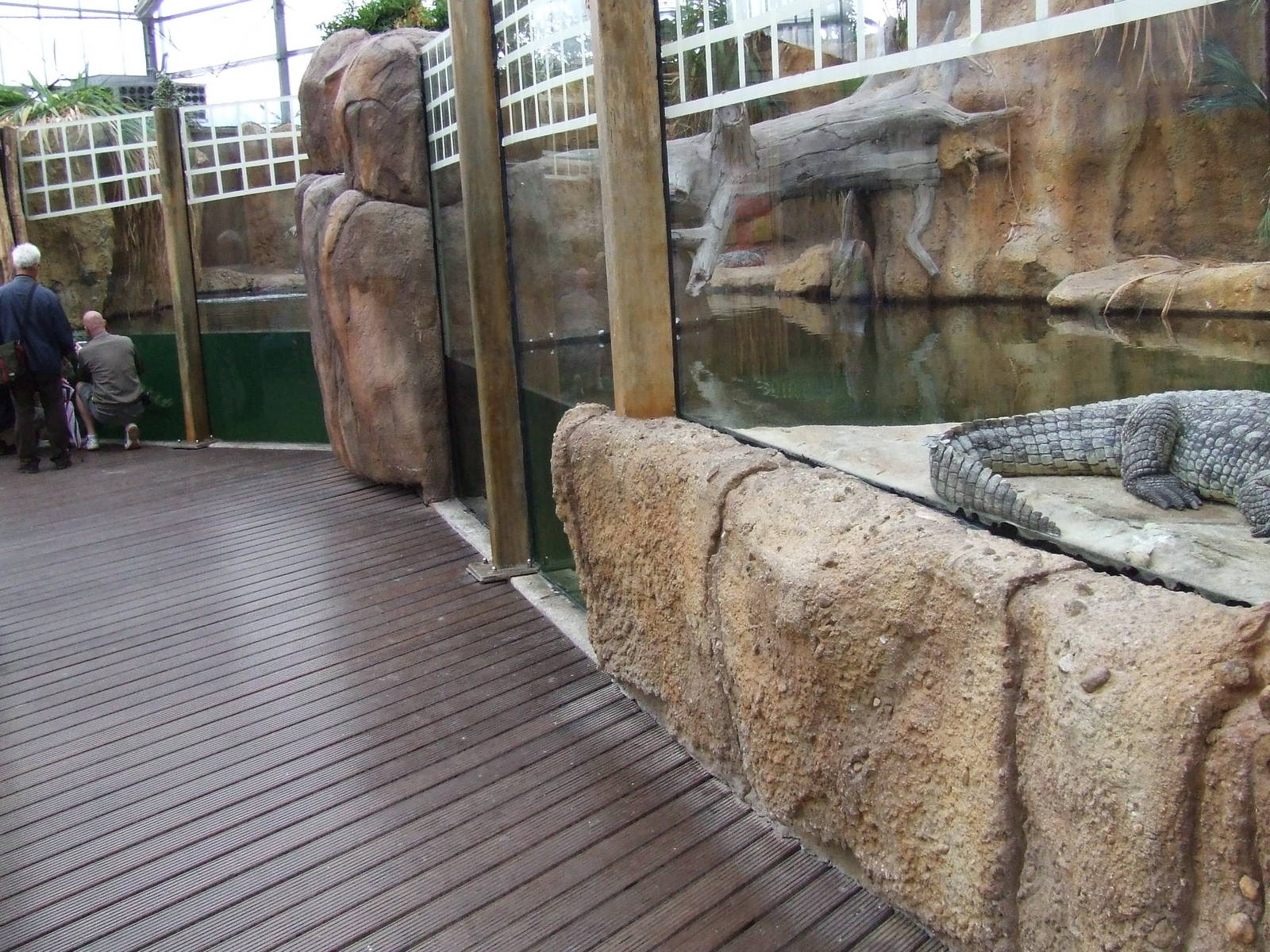Nile Crocodile exhibit, Crocodile River