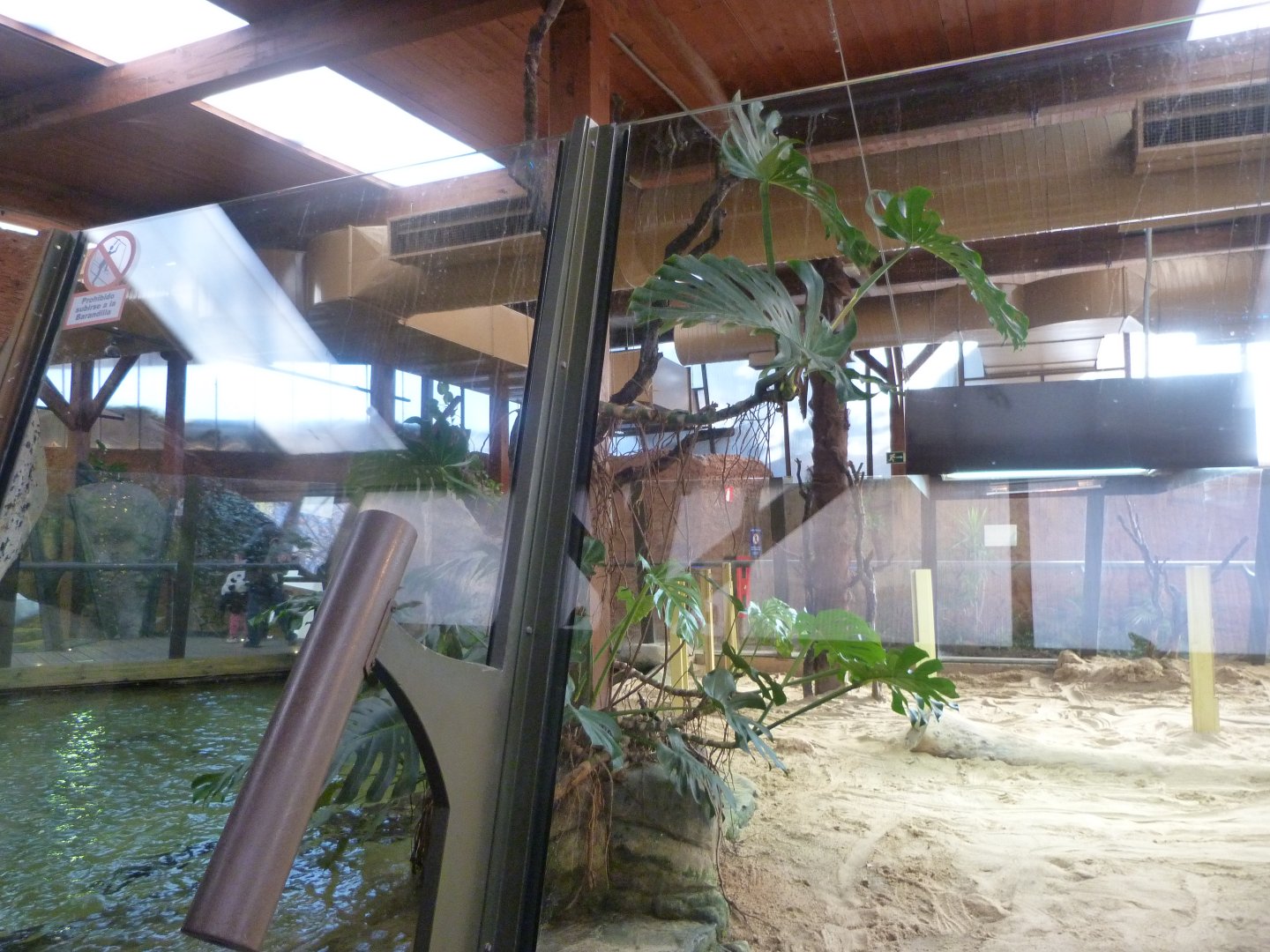 Nile crocodile exhibit -Faunia (2025)