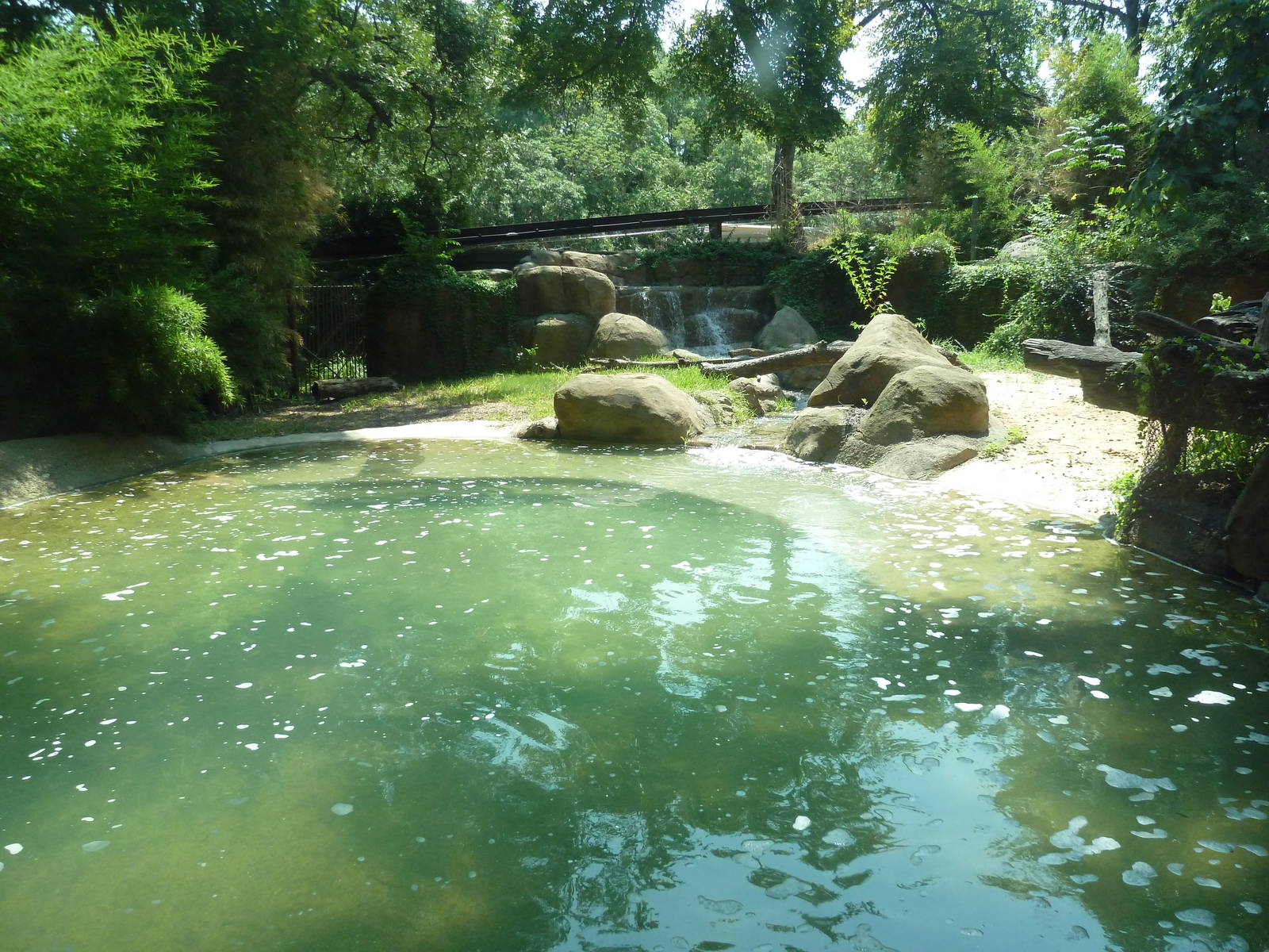 Nile Crocodile Exhibit