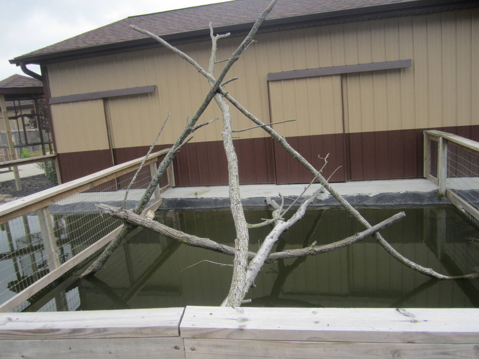 Nile Crocodile Exhibit