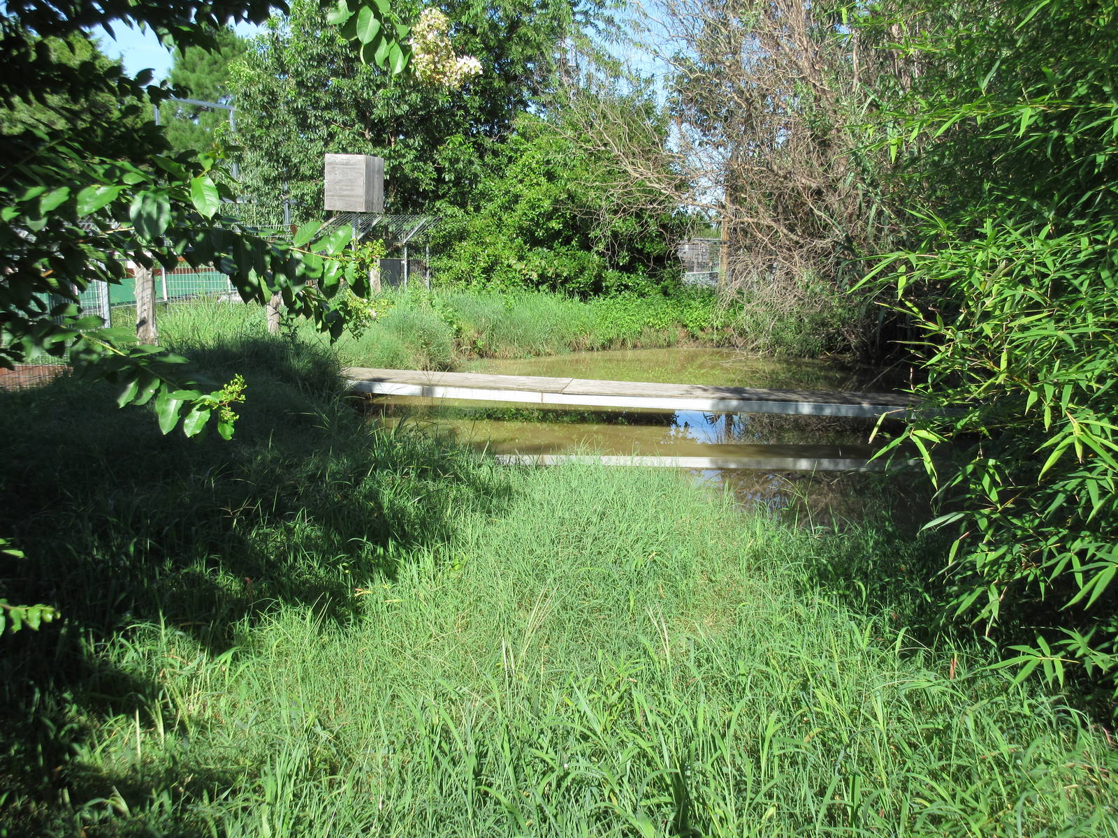 Nile Crocodile Exhibit
