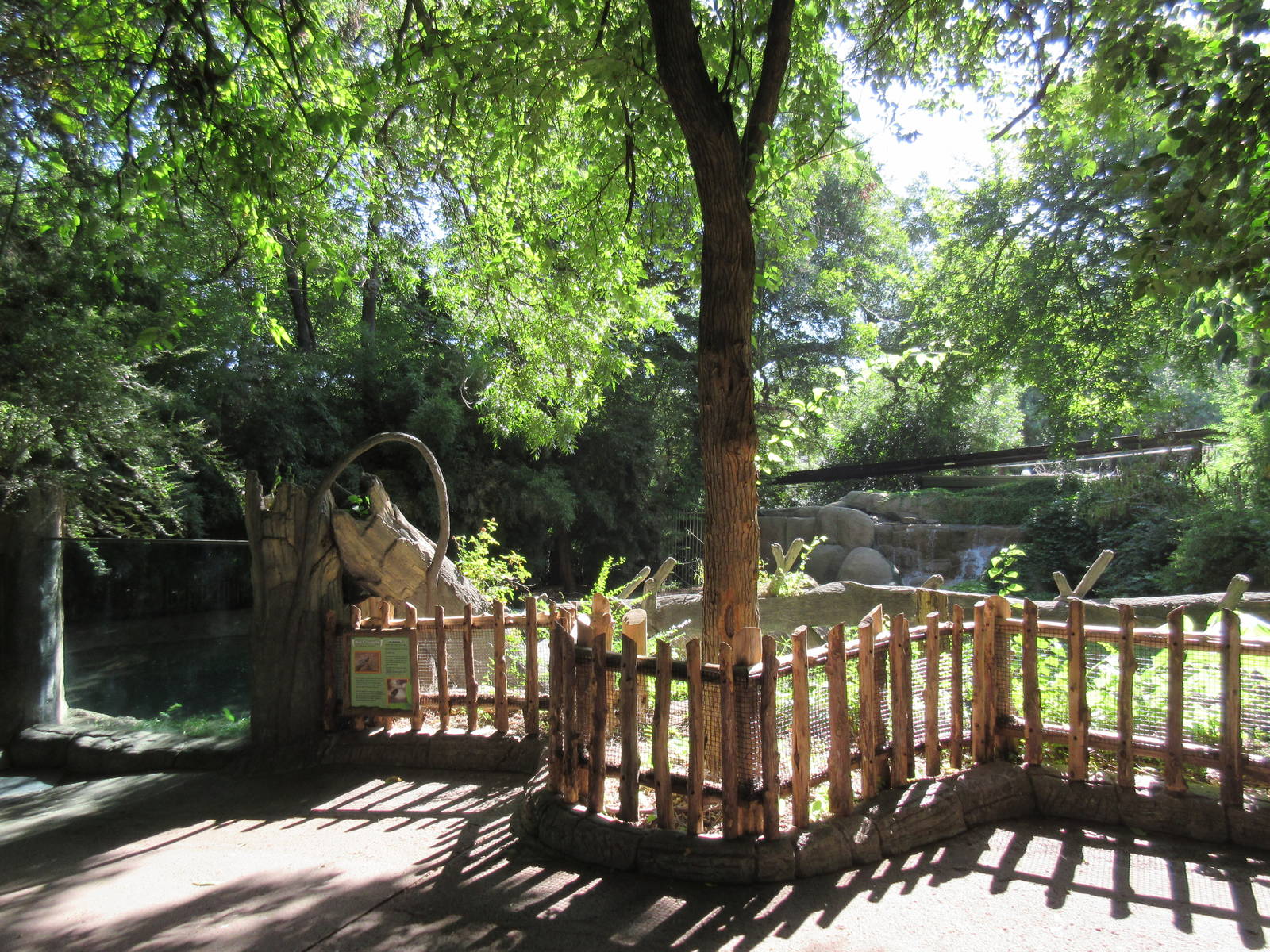 Nile Crocodile Exhibit