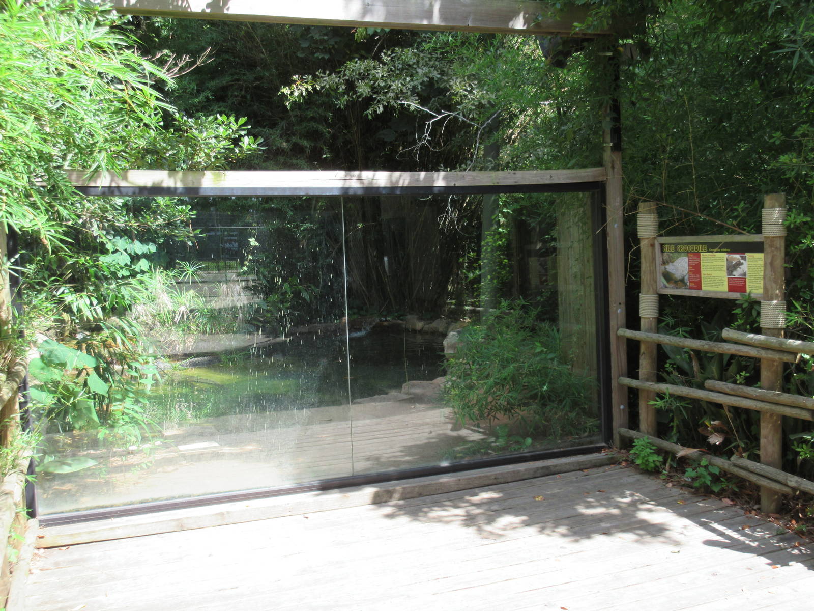 Nile Crocodile Exhibit