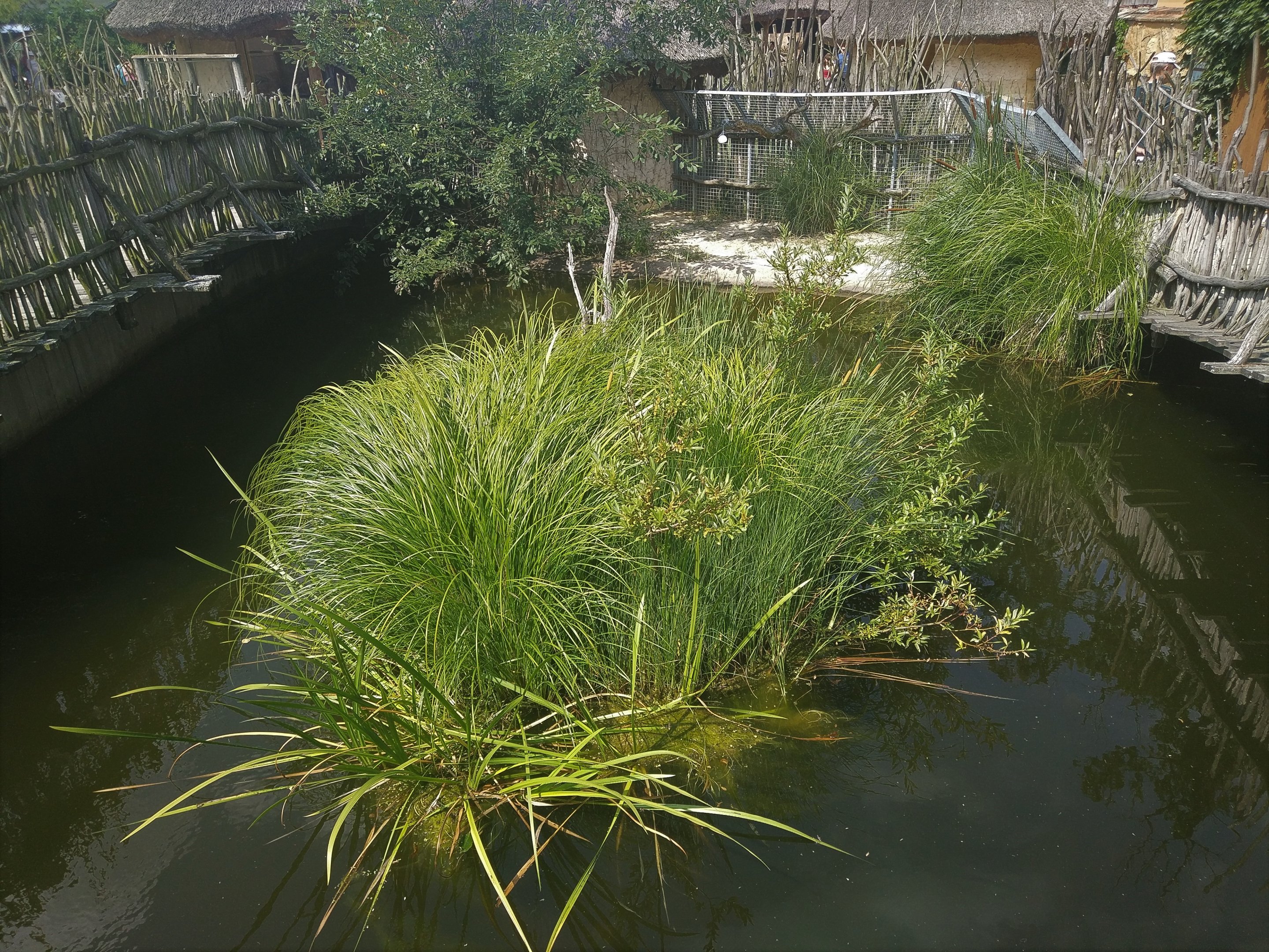 Nile Crocodile Exhibit