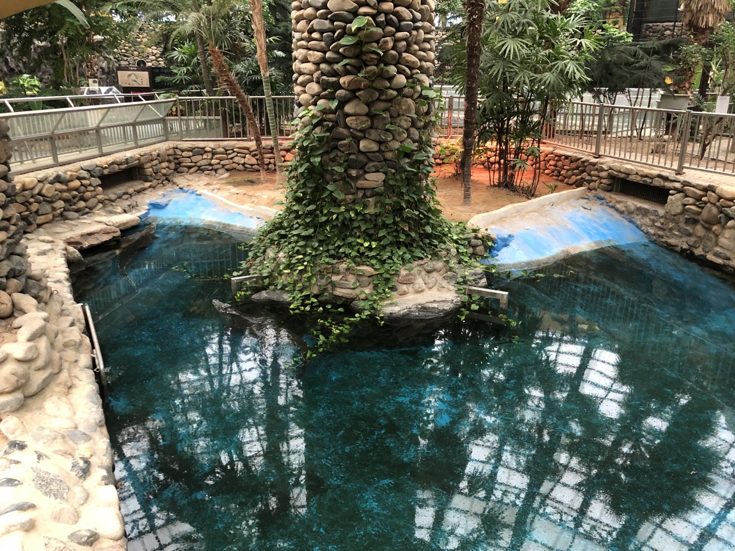 Nile Crocodile Exhibit