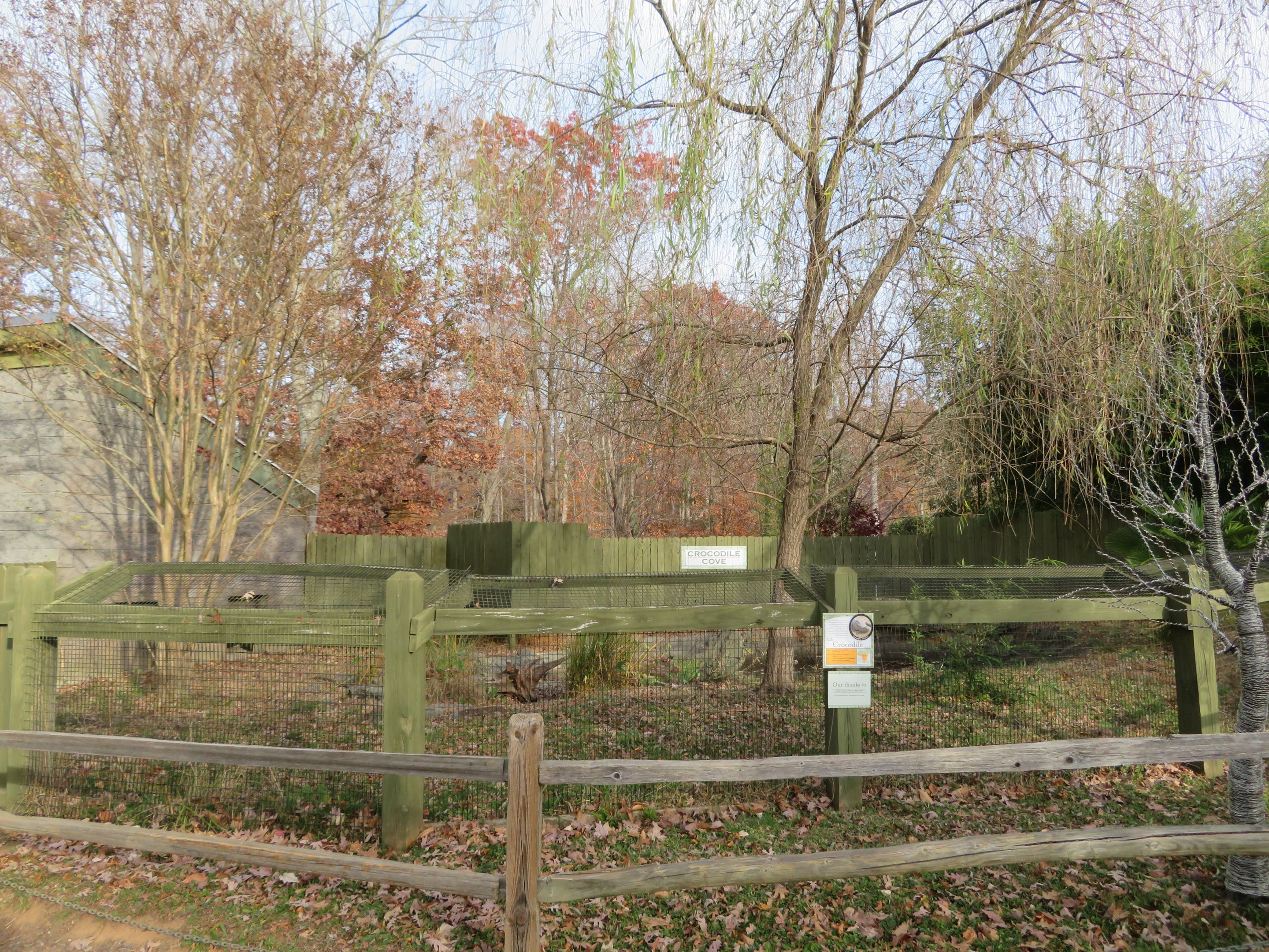 Nile Crocodile Exhibit