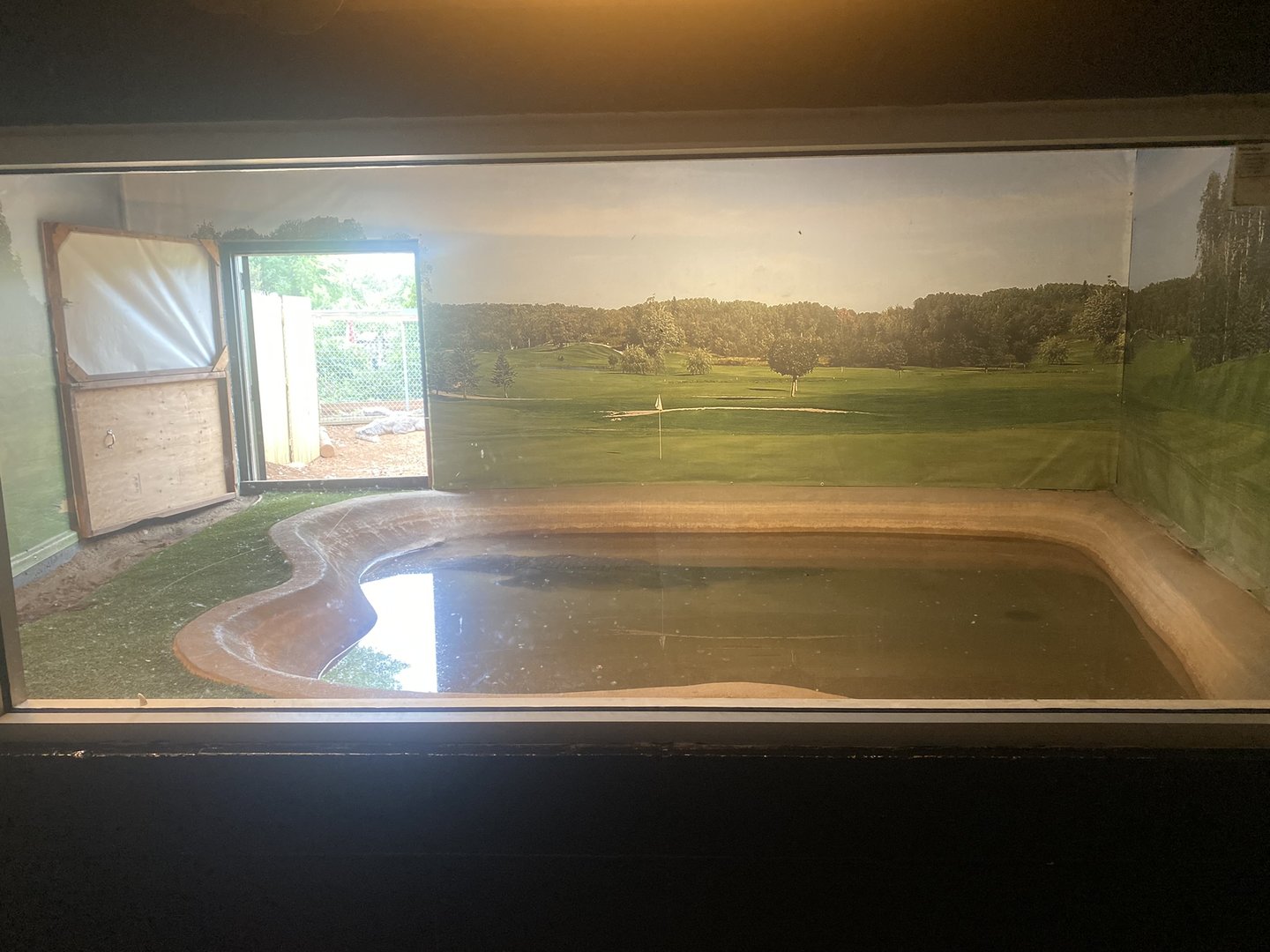 Nile Crocodile Exhibit