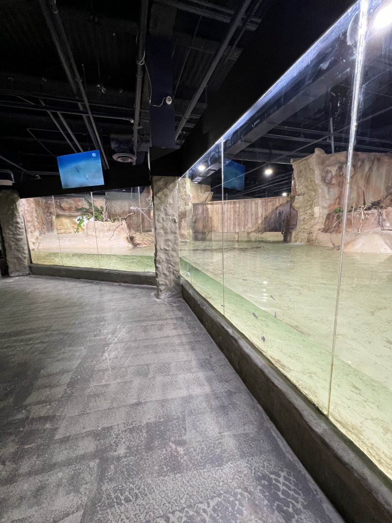 Nile Crocodile Exhibit
