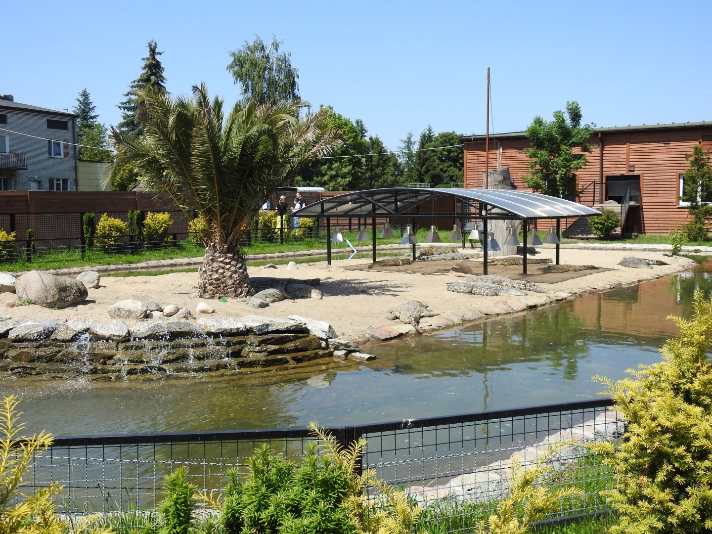 Nile crocodile exibit