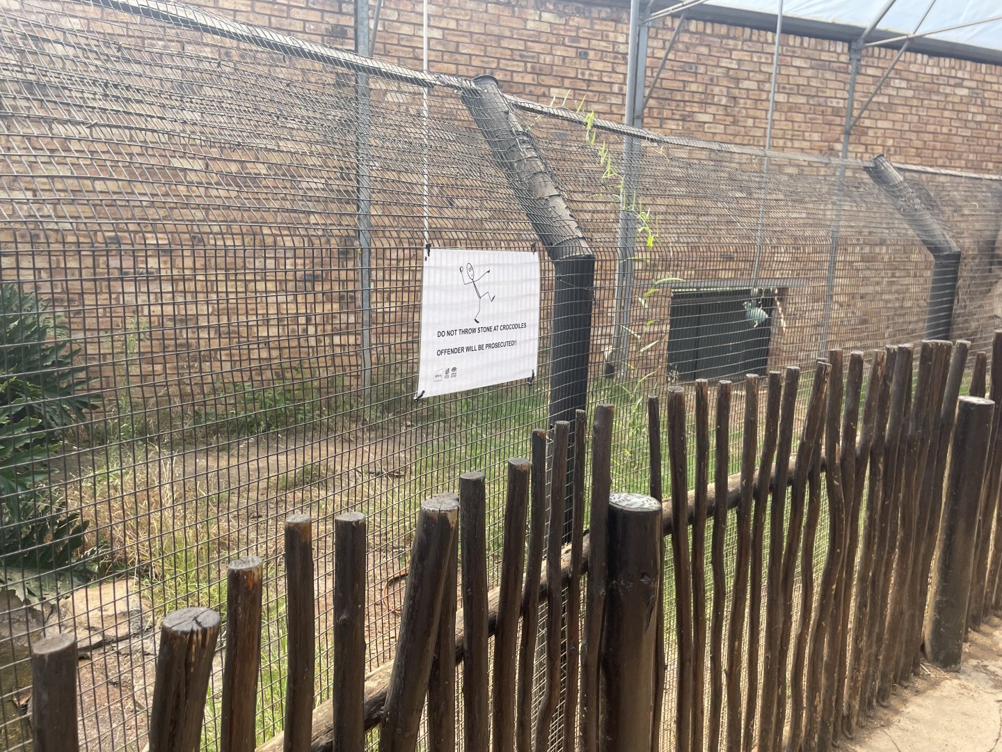 Nile Crocodile Indoor Exhibit (Crocodylus niloticus)