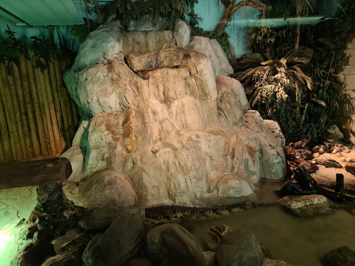 Nile crocodile waterfall