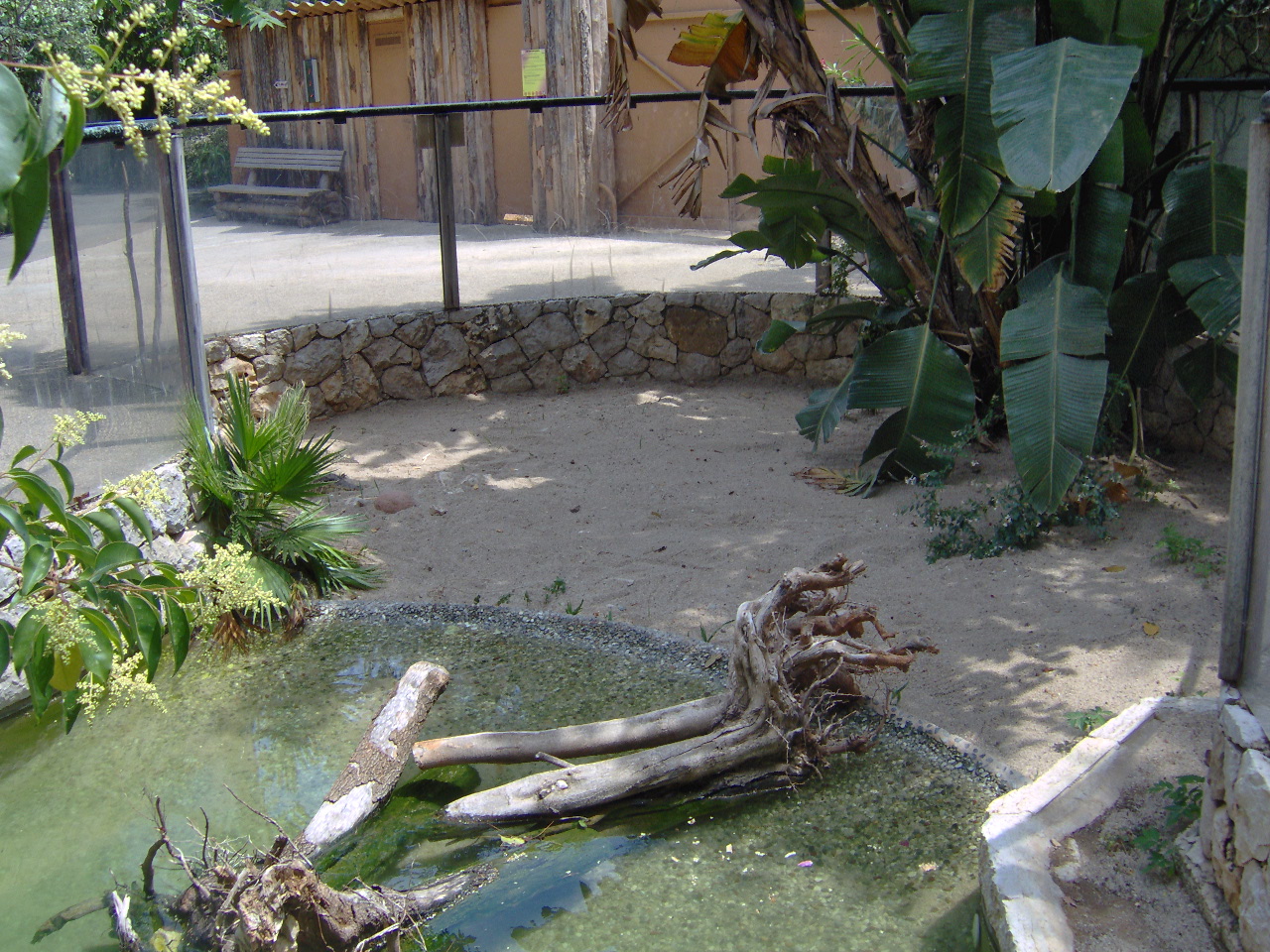 Nile Crocodiles exhibit 2007