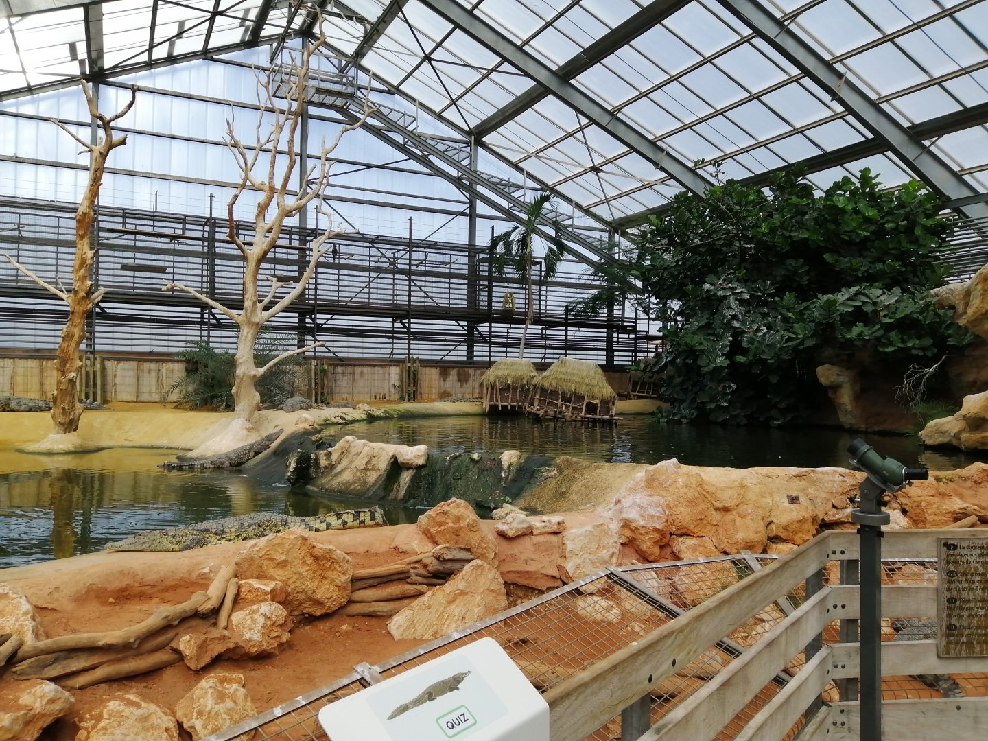 Nile Crocodiles exhibit (Main pool)