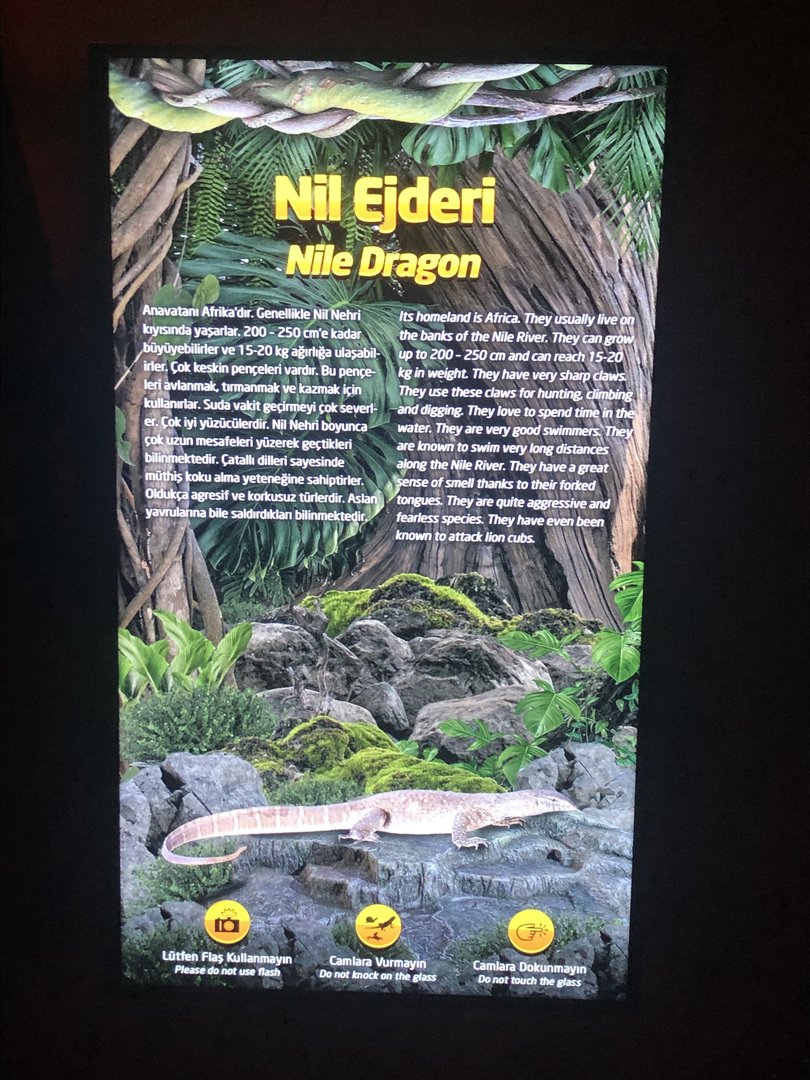 Nile… Dragon (?) sign at the ViaSea Aquarium