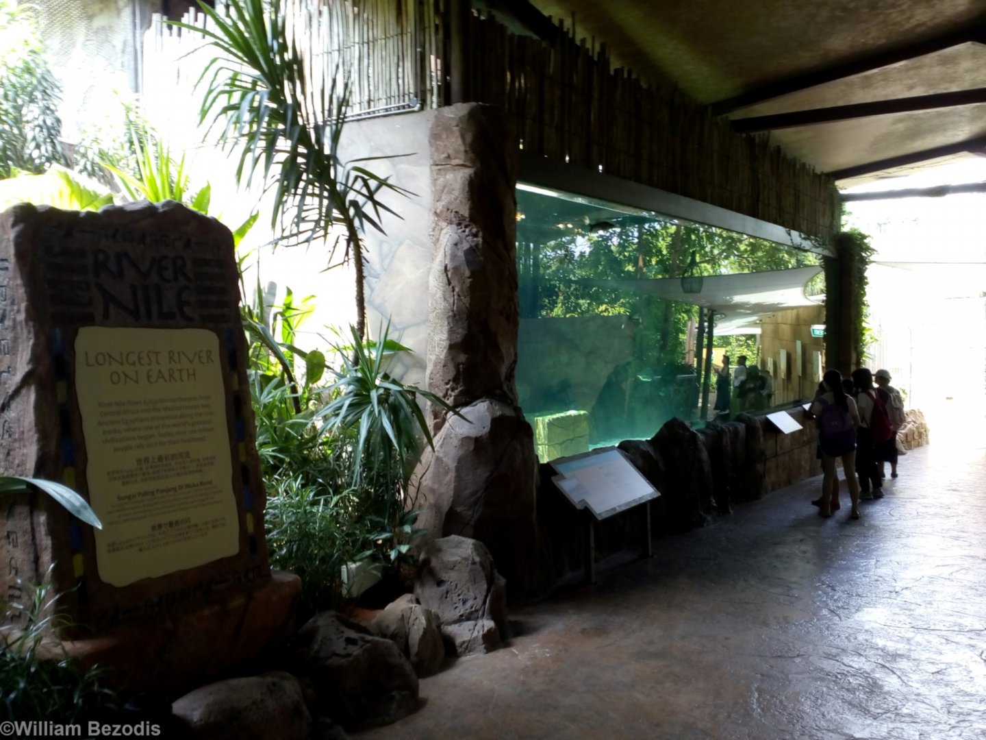 Nile Exhibits