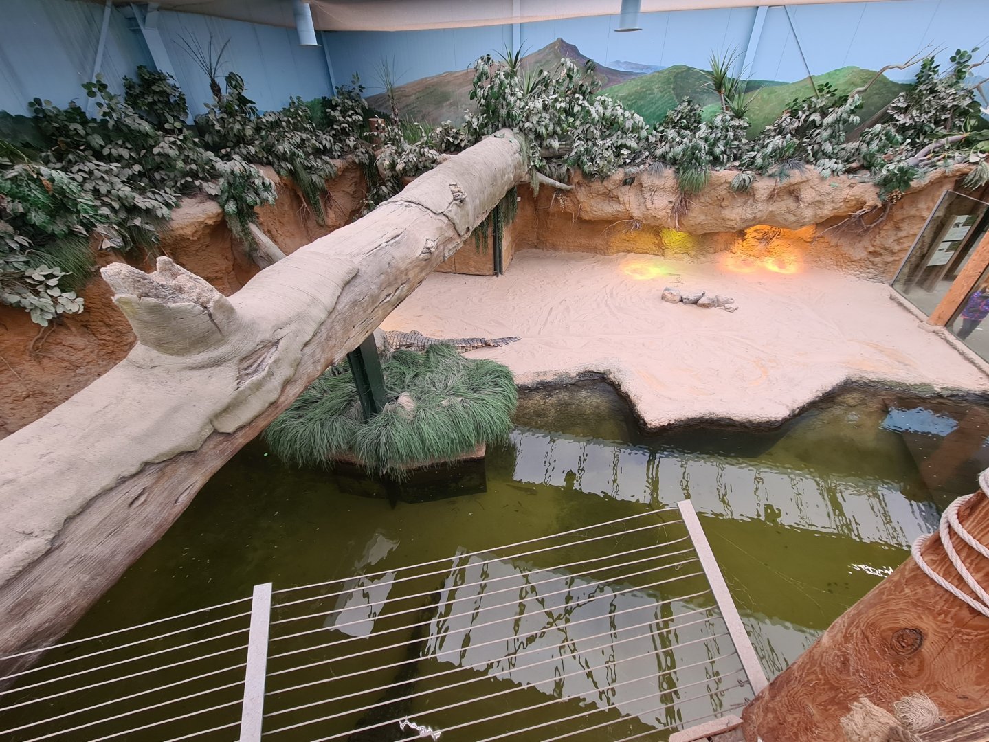 Nile greenhouse - Nile crocodile enclosure