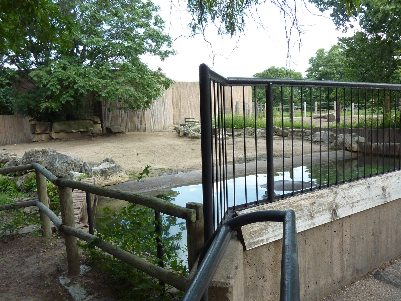 Nile Hippo Enclosure