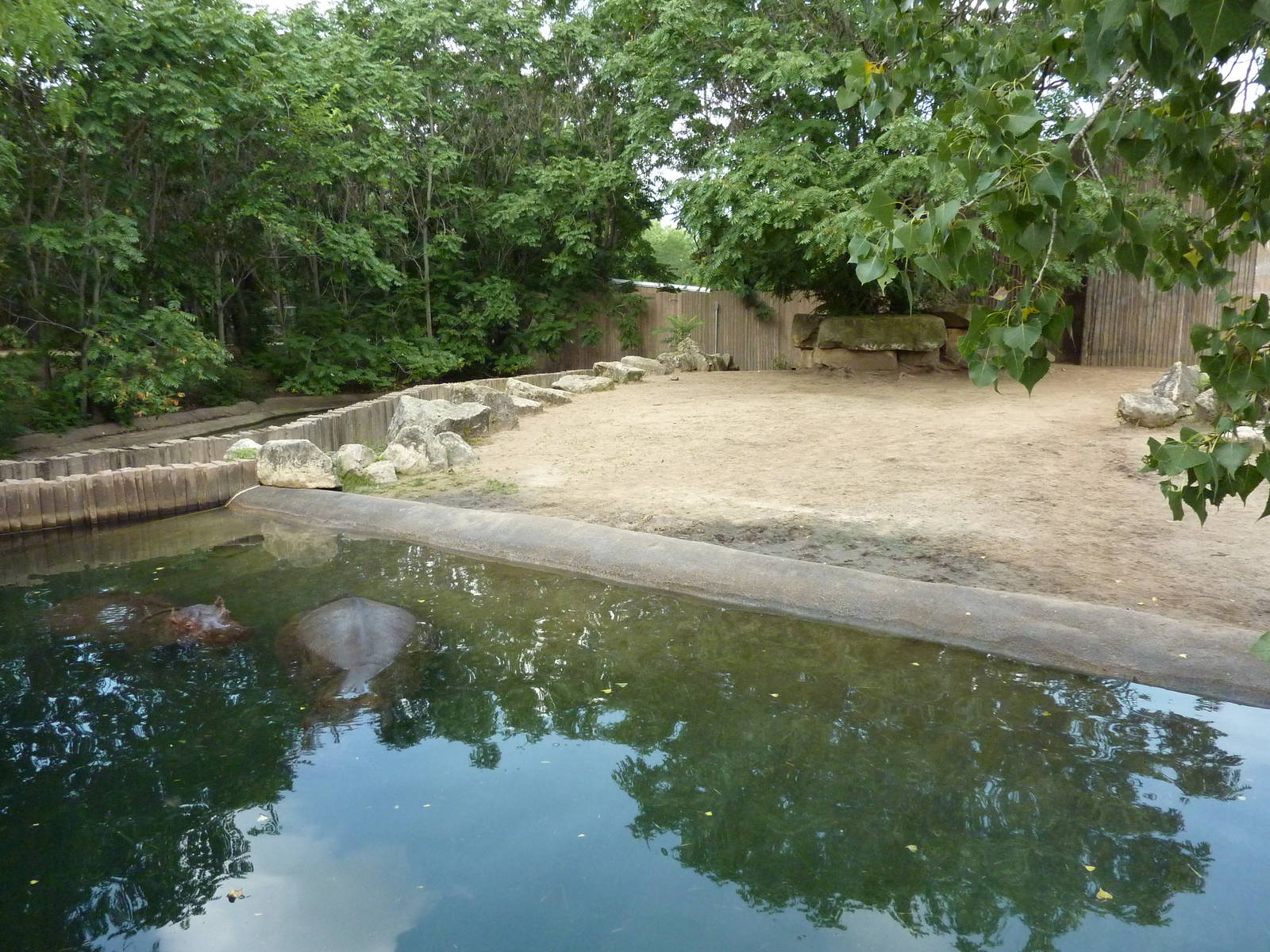 Nile Hippo Enclosure