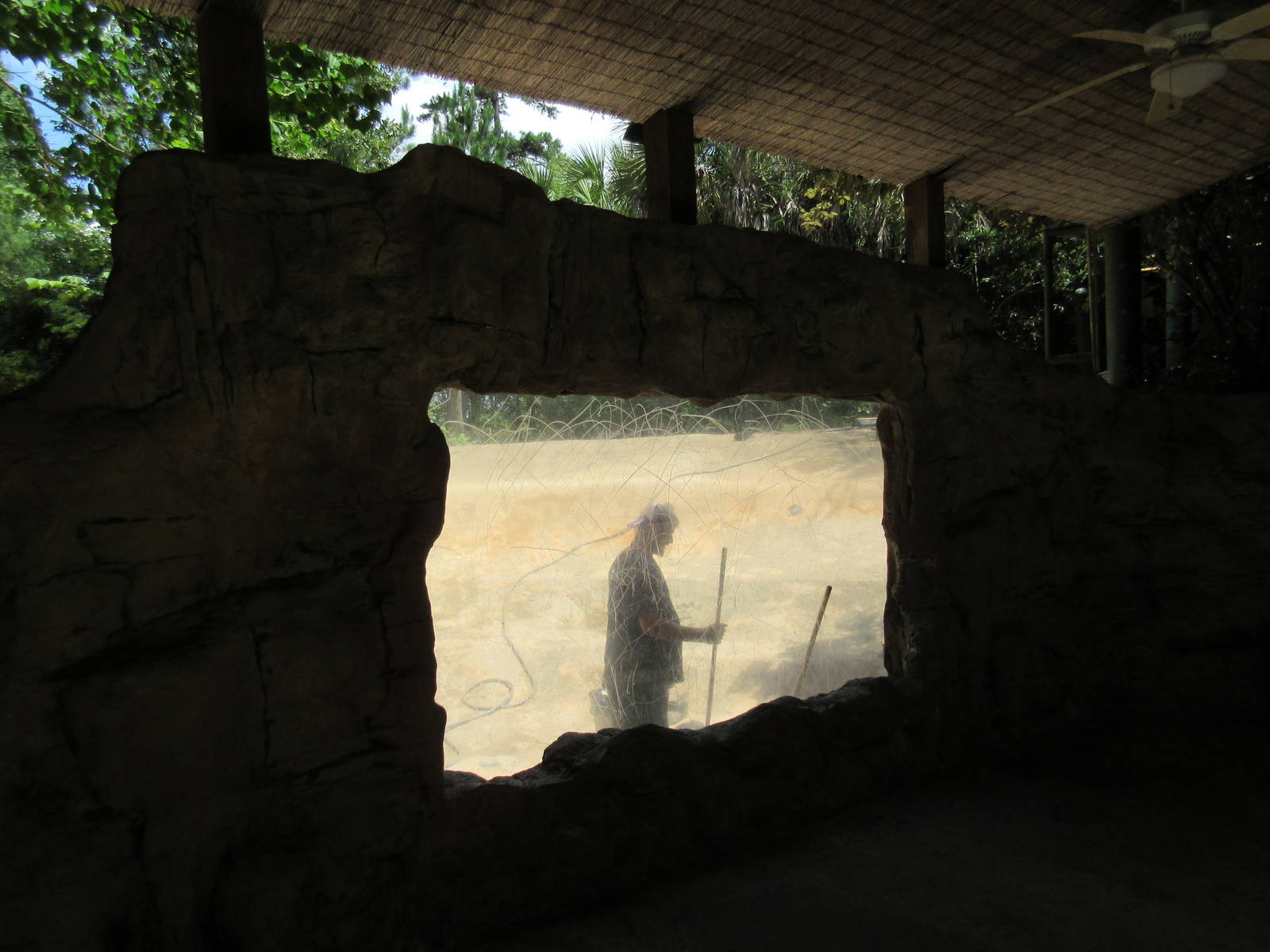 Nile Hippo Exhibit - closed for renovations