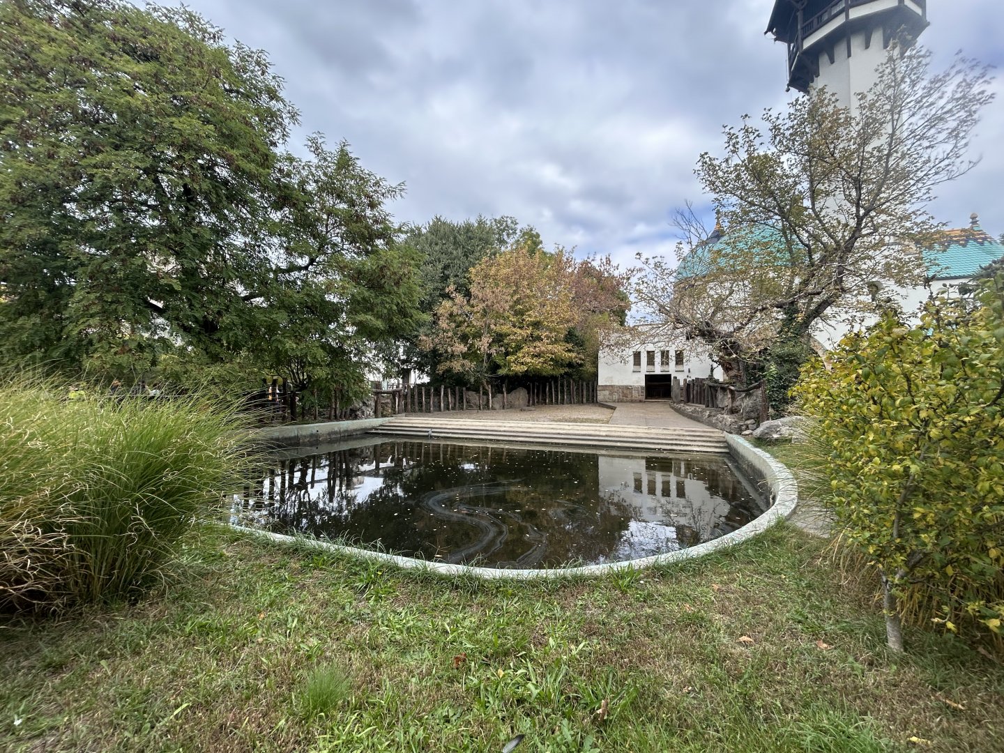 Nile Hippo Exhibit - Elephant House