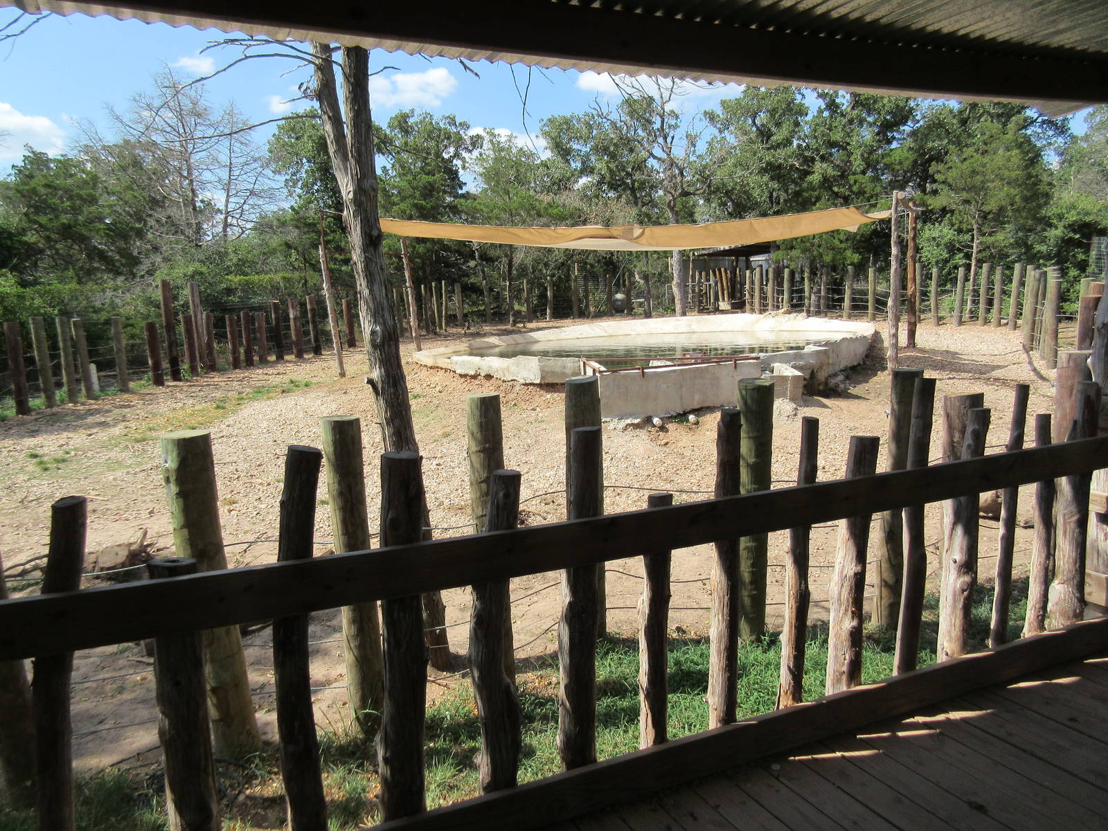 Nile Hippo Exhibit - from viewing deck