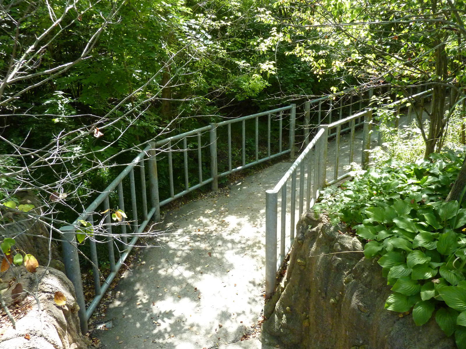 Nile Hippo Exhibit -Hippo Walkway To Barn