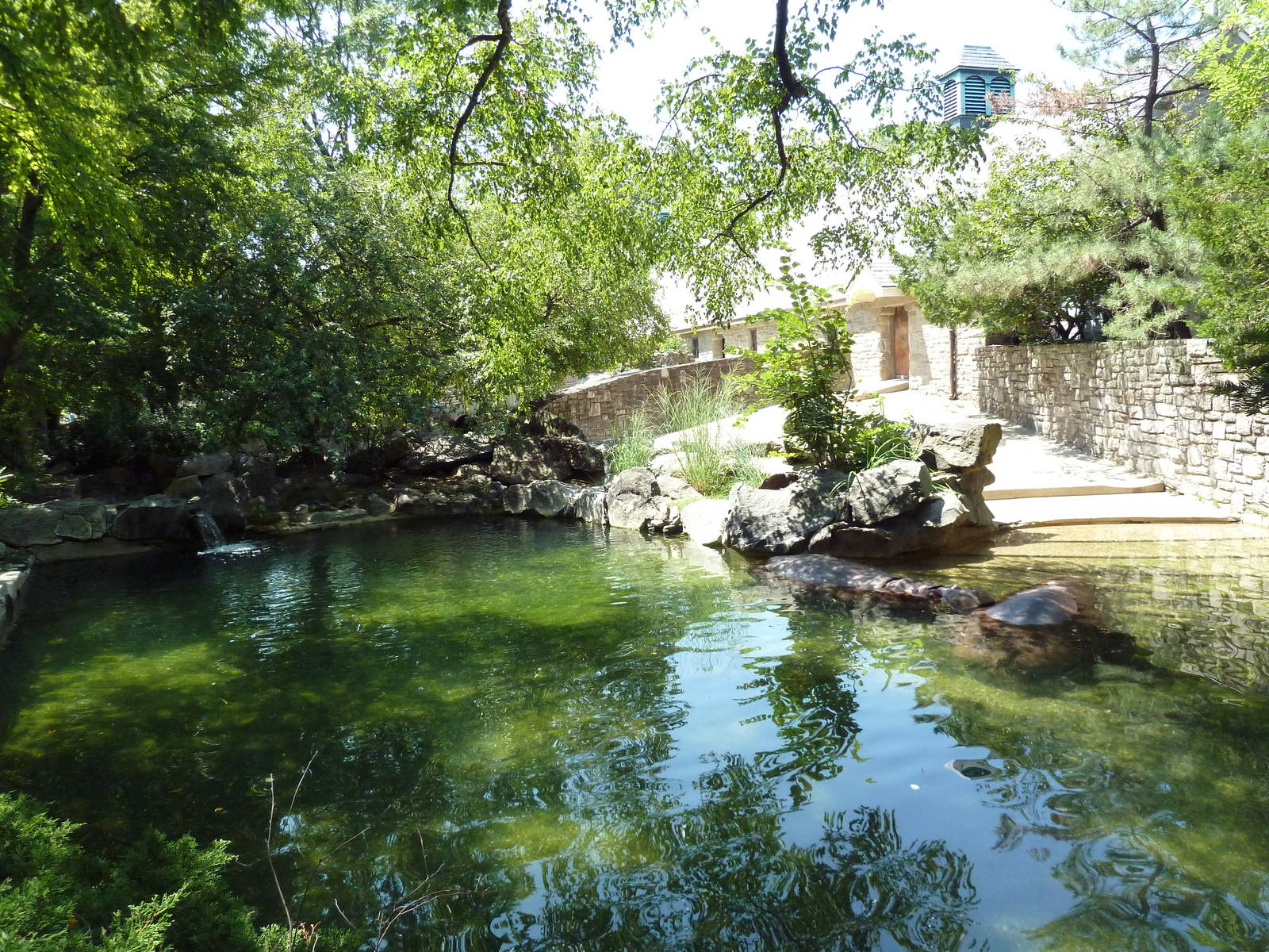 Nile Hippo Exhibit