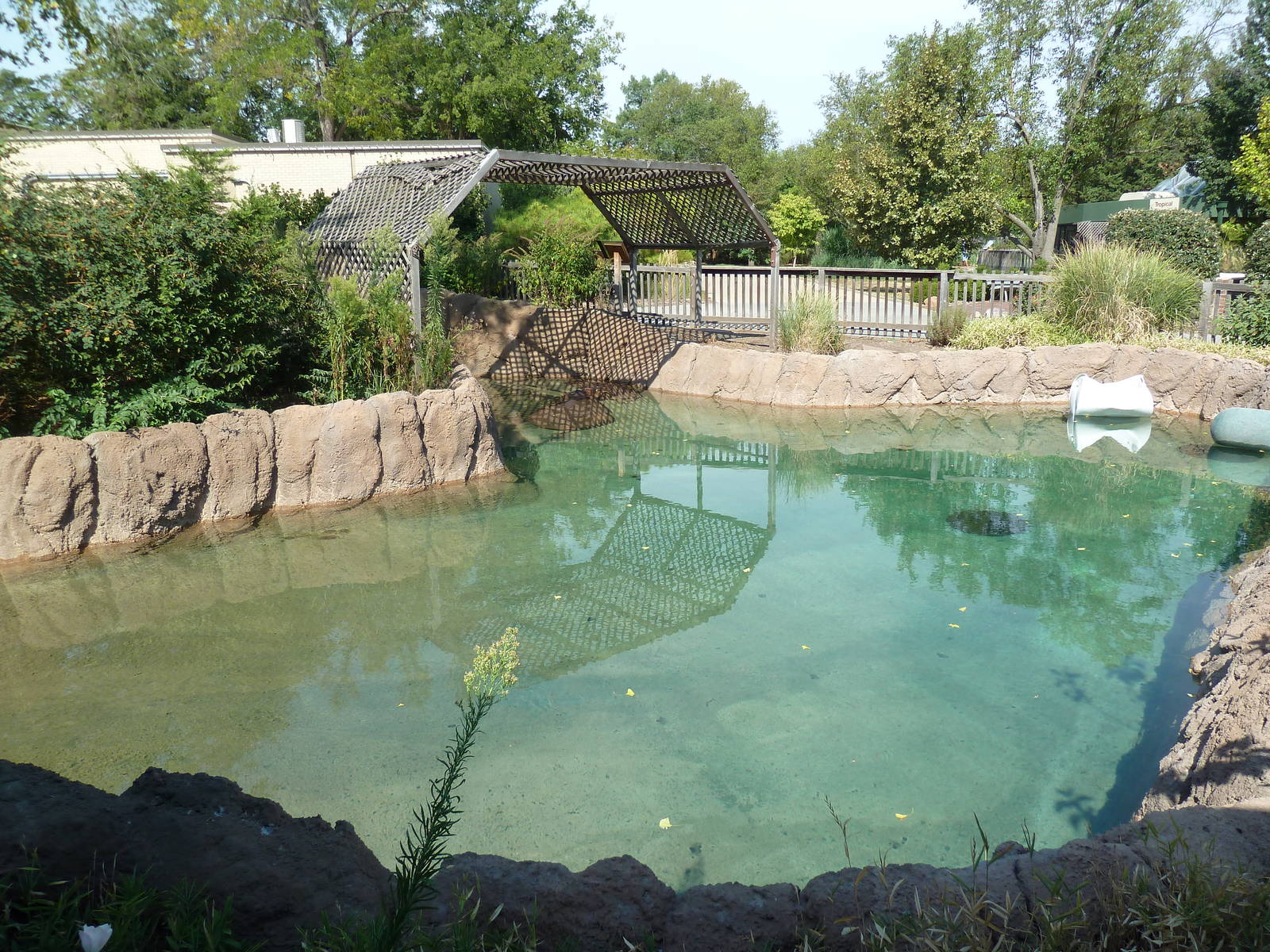 Nile Hippo Exhibit