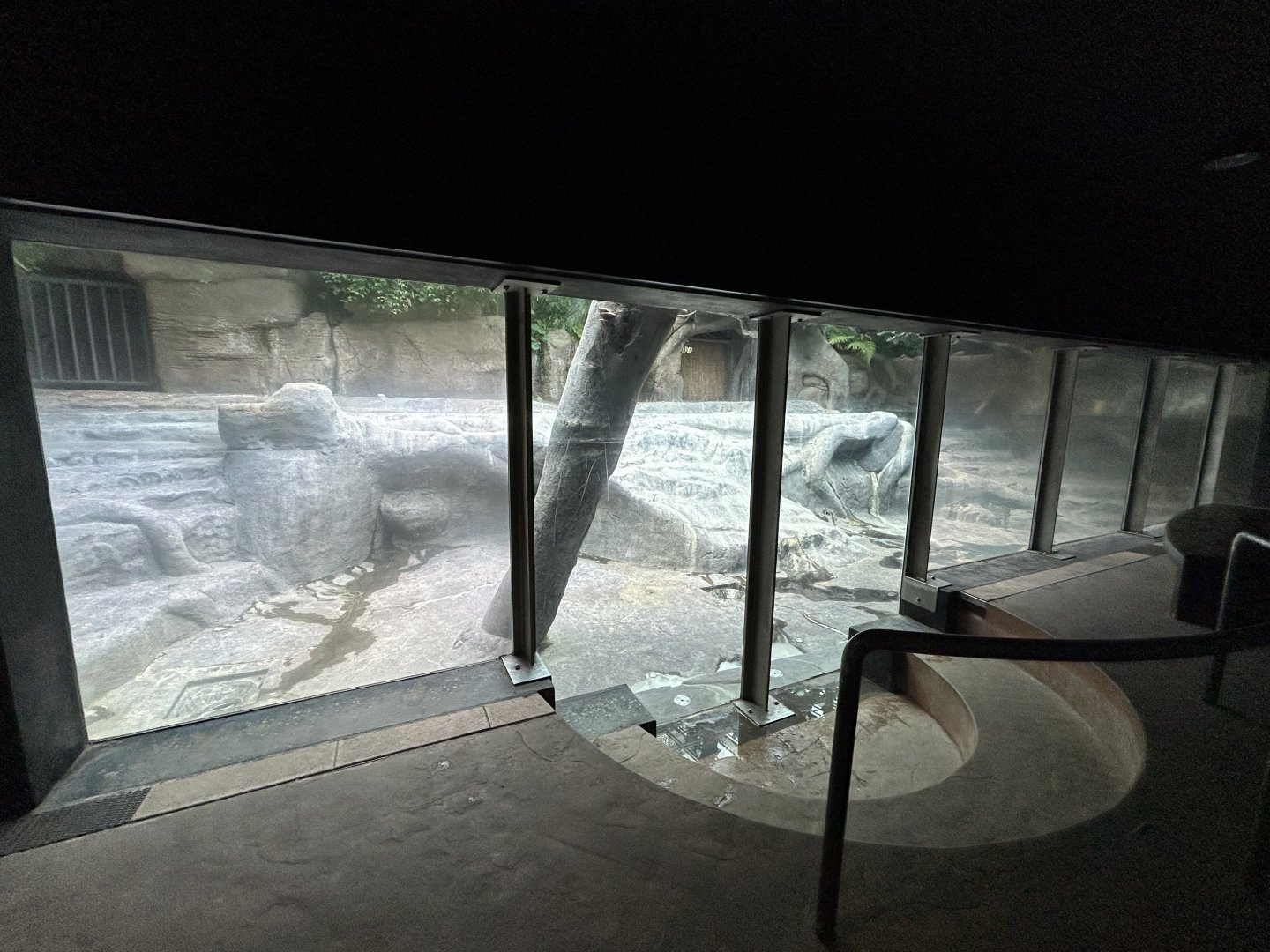 Nile Hippo House (pool drained)