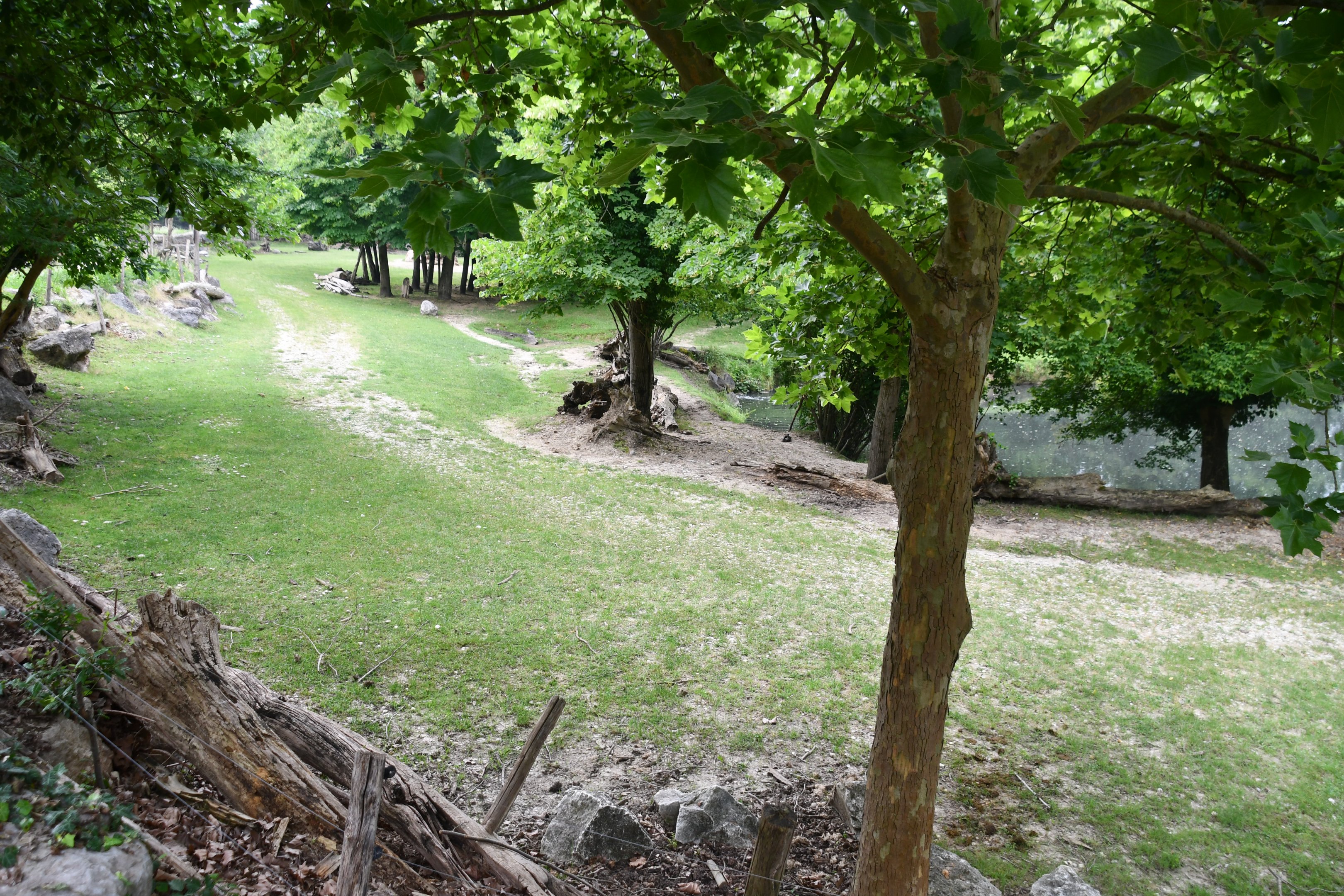 Nile Hippopotamus and Nyala mixed exhibit
