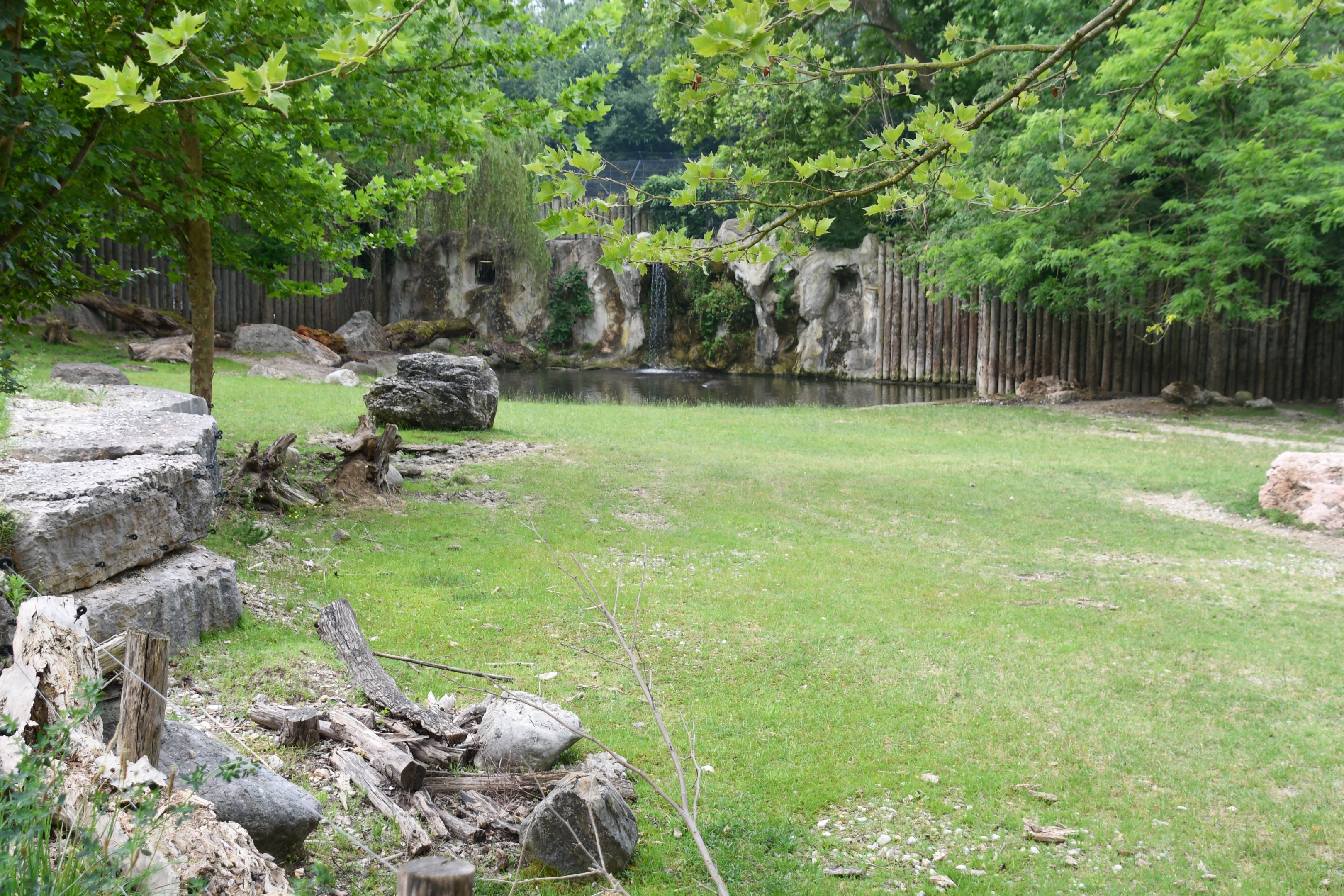 Nile Hippopotamus and Nyala mixed exhibit