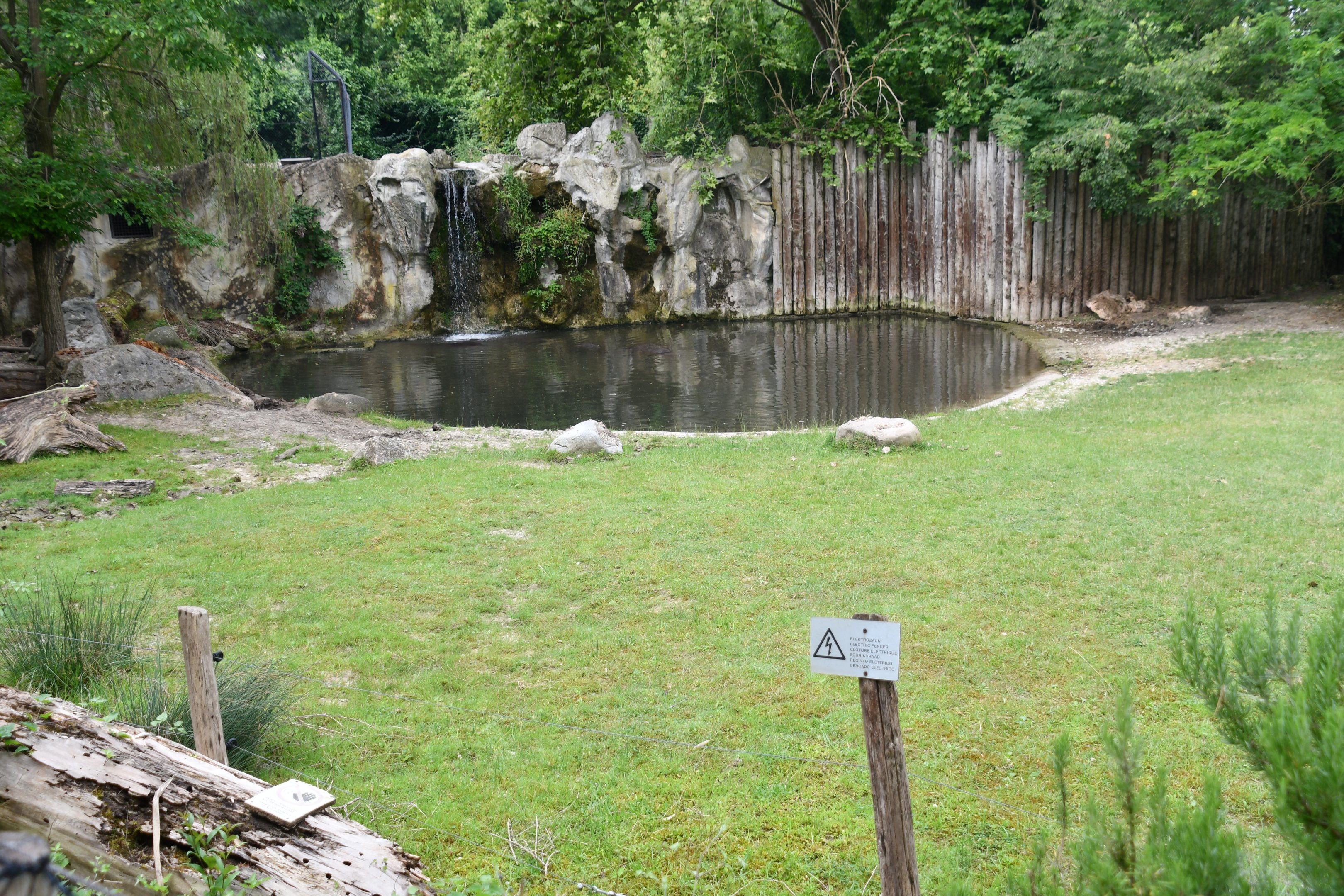 Nile Hippopotamus and Nyala mixed exhibit
