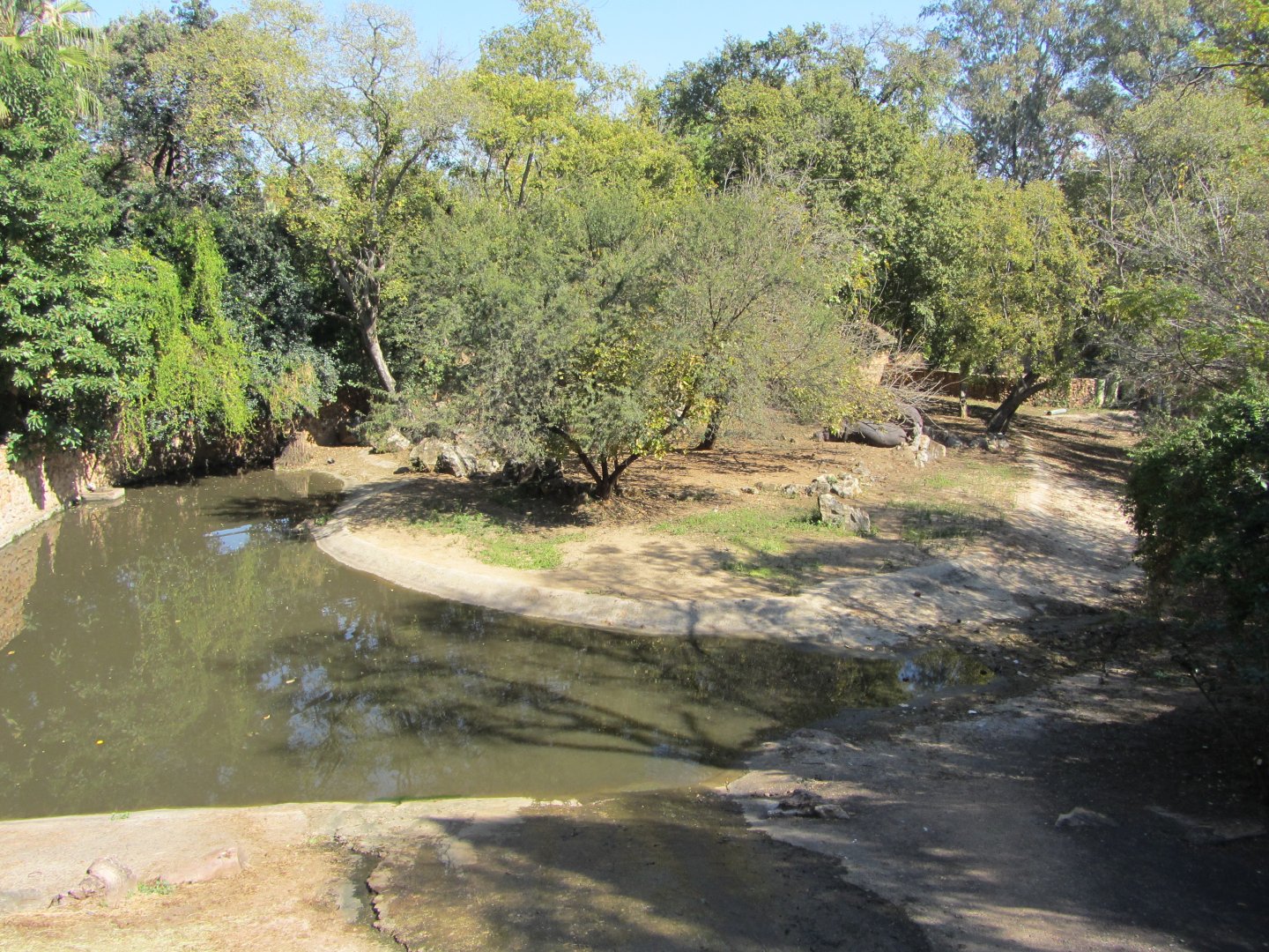 Nile Hippopotamus Exhibit