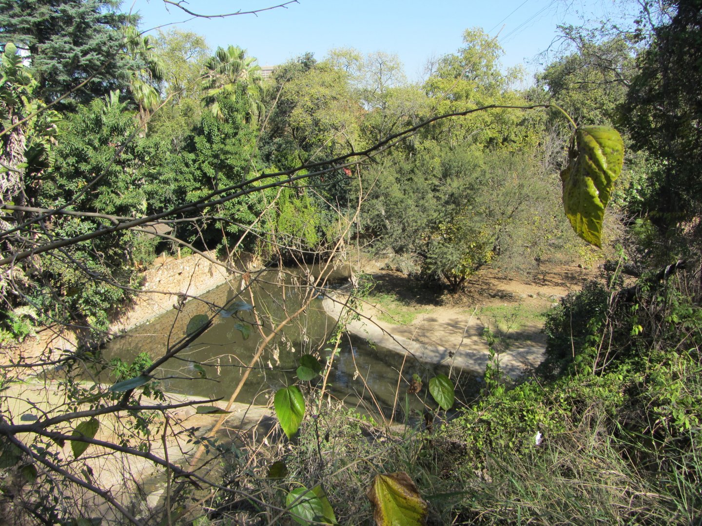Nile Hippopotamus Exhibit