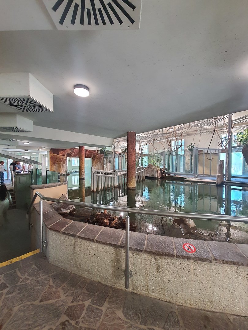 Nile hippopotamus indoor quarters- Tiergarten Schönbrunn