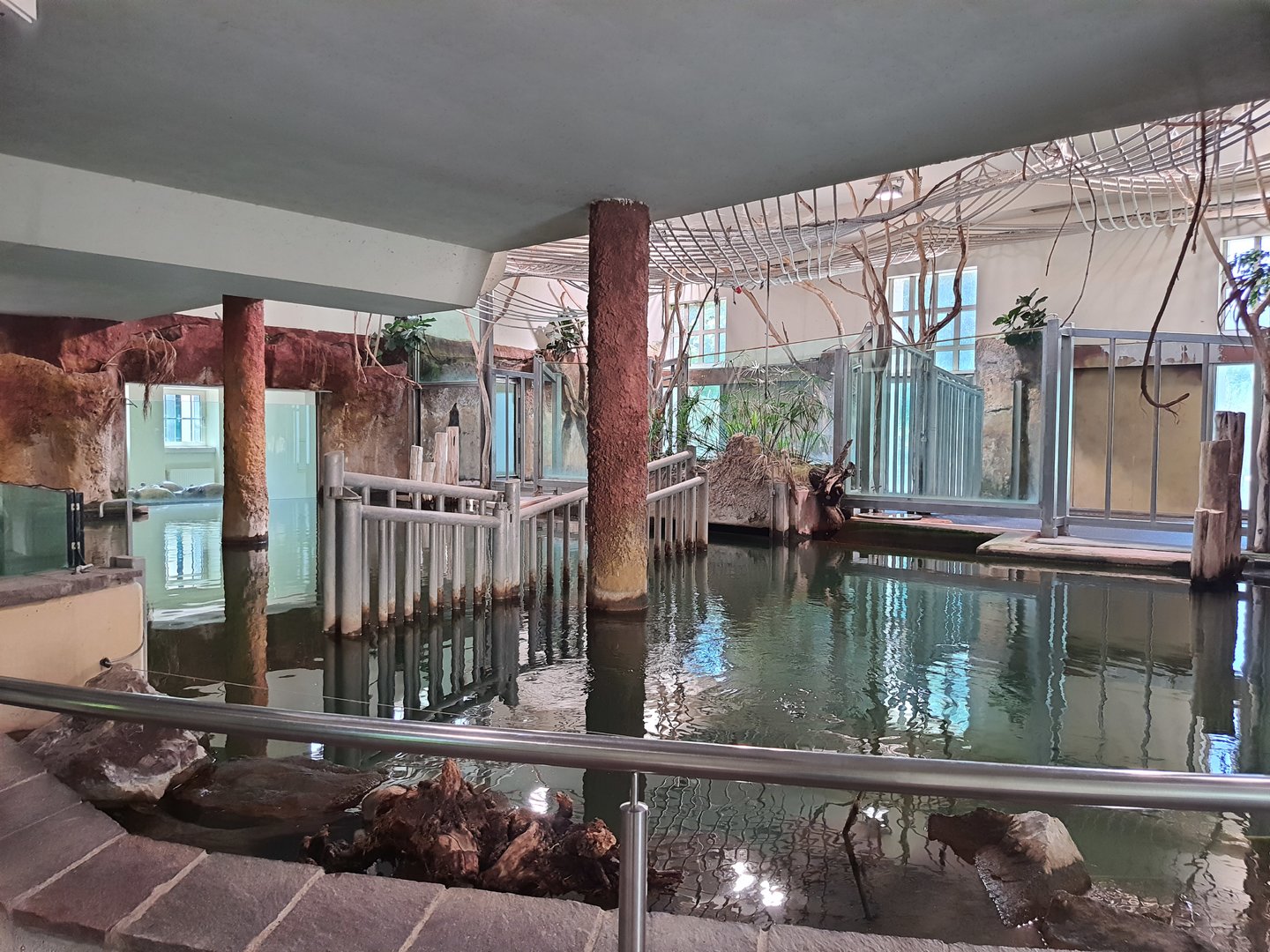 Nile hippopotamus indoor quarters- Tiergarten Schönbrunn