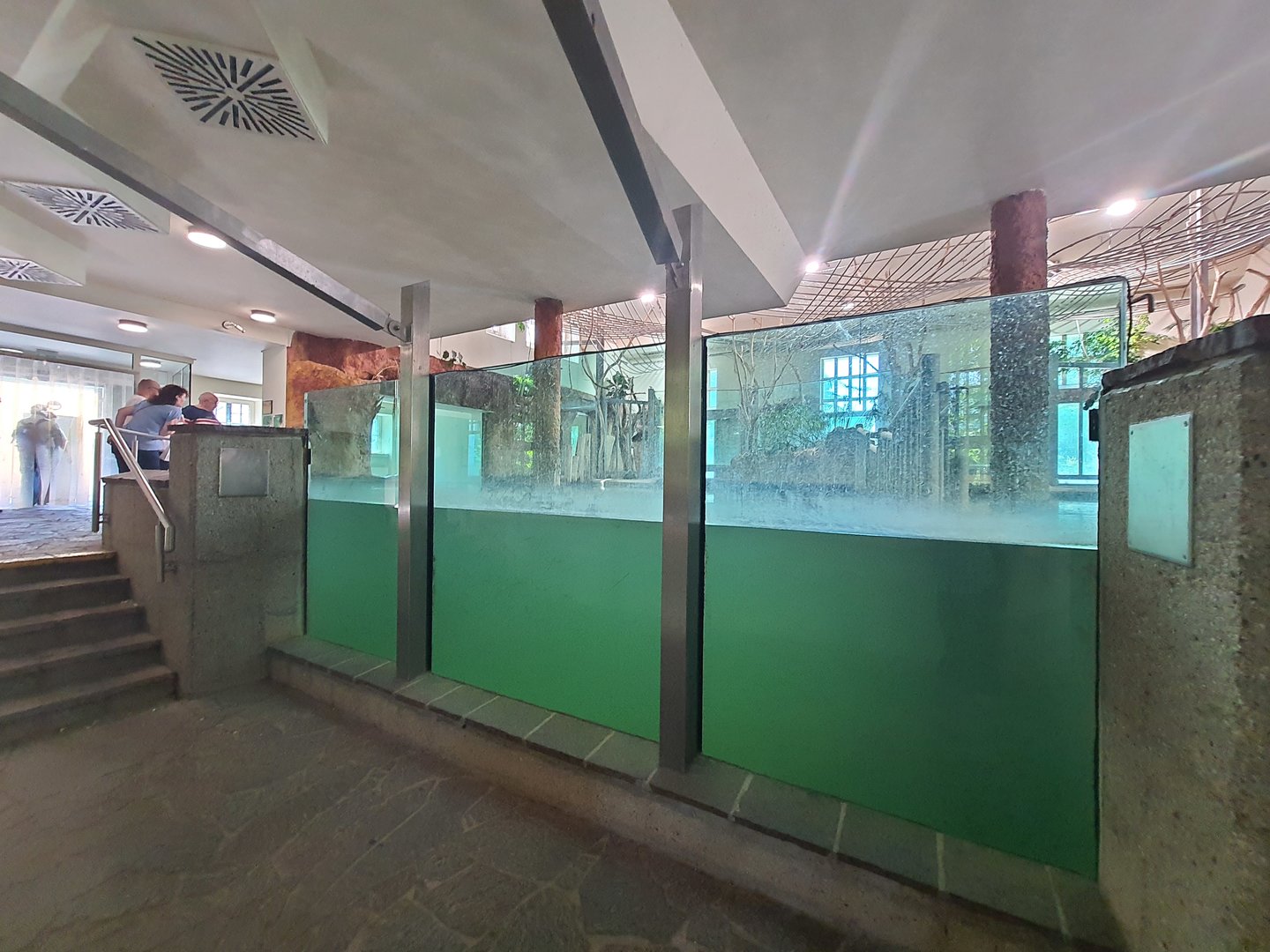 Nile hippopotamus underwater viewing gallery- Tiergarten Schönbrunn