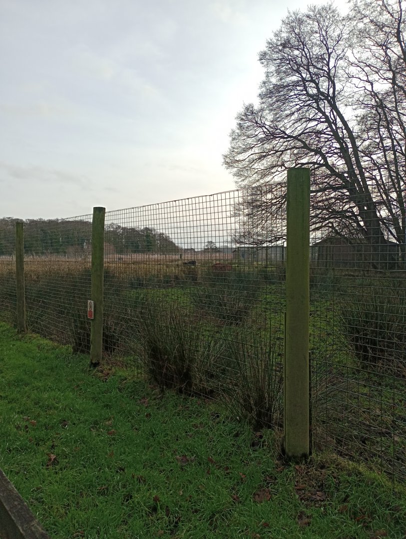 Nile Lechwe and Nyala
