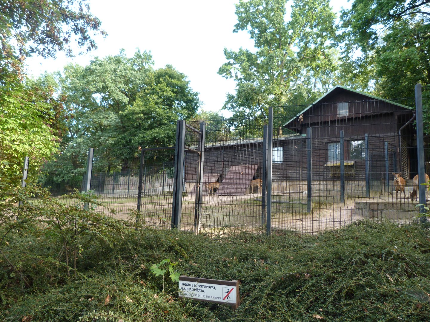 Nile lechwe exhibit -Zoo Praha (2025)