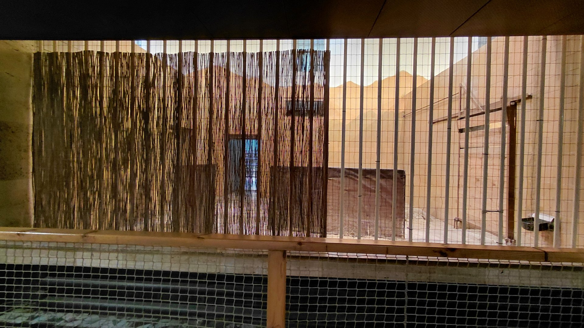 Nile lechwe indoor exhibit