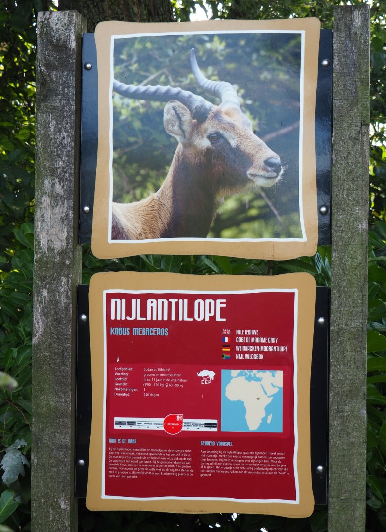 Nile lechwe information signage, 2019-09-15