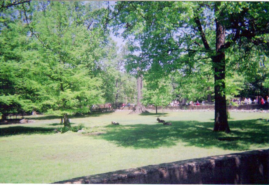 Nile Lechwe / Ostrich Yard