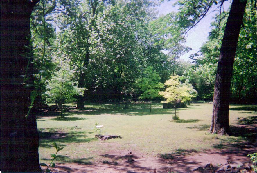 Nile Lechwe / Ostrich Yard