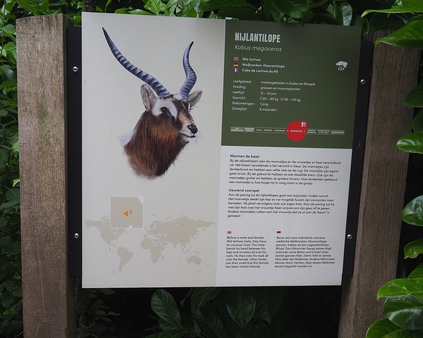 Nile lechwe signage, 2022-06-12