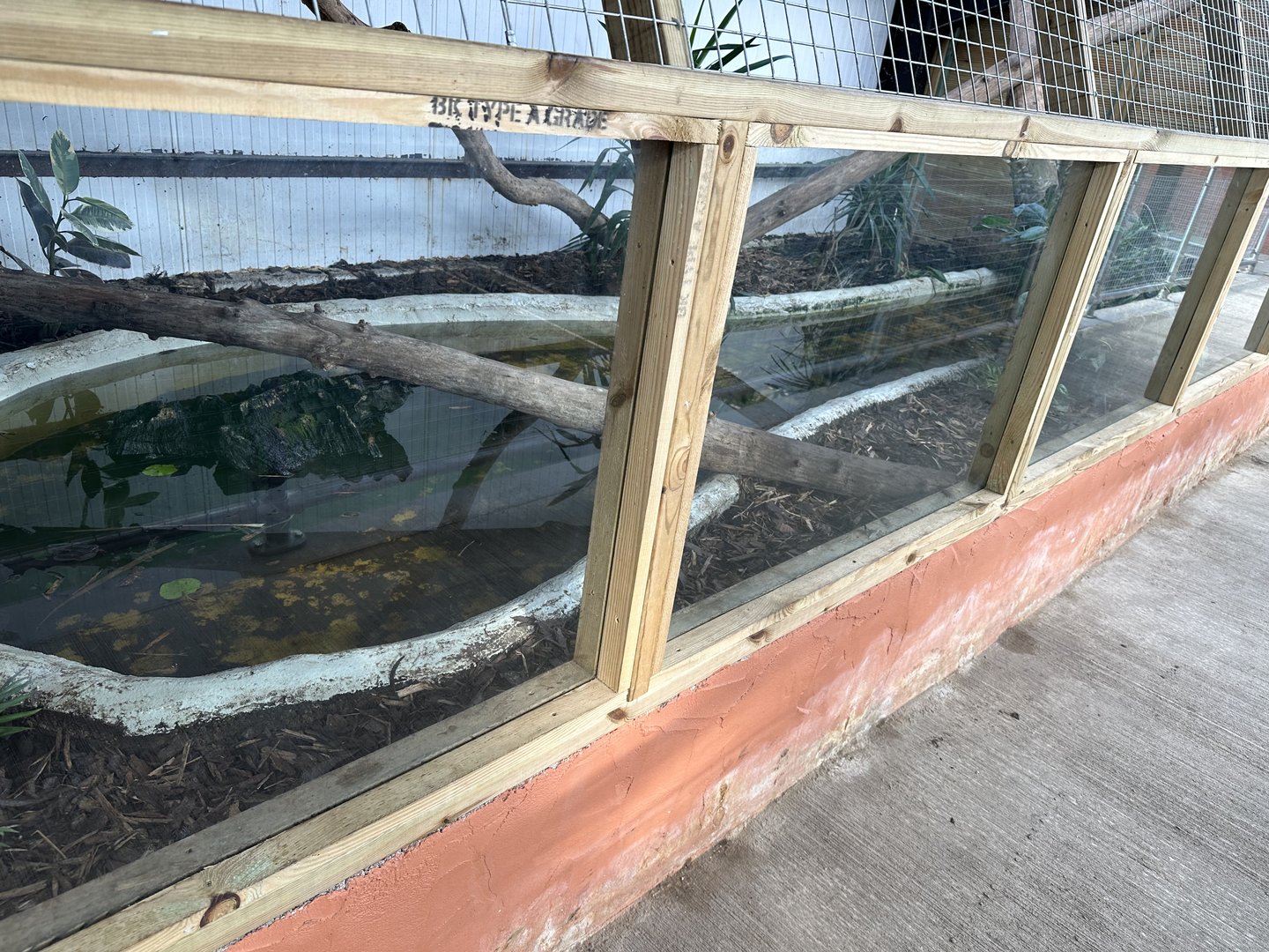 Nile Monitor Enclosure at Johnsons of Old Hurst (October 2023)