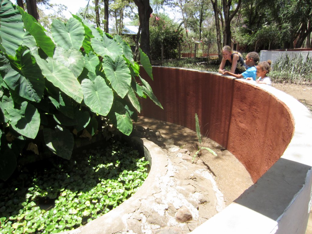 Nile Monitor enclosure