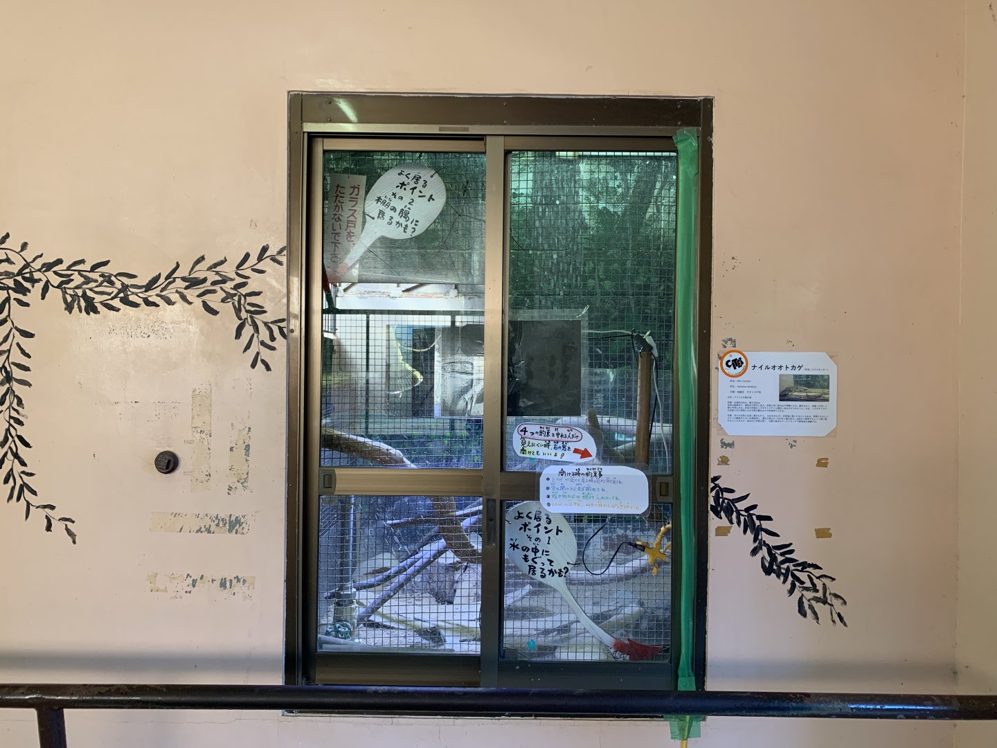 Nile Monitor Exhibit (Himeji City Zoo)