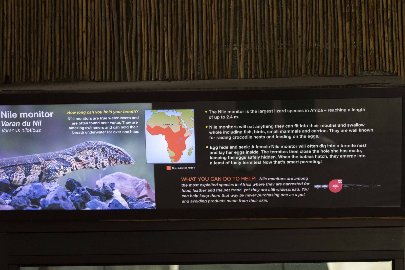 Nile Monitor Signage