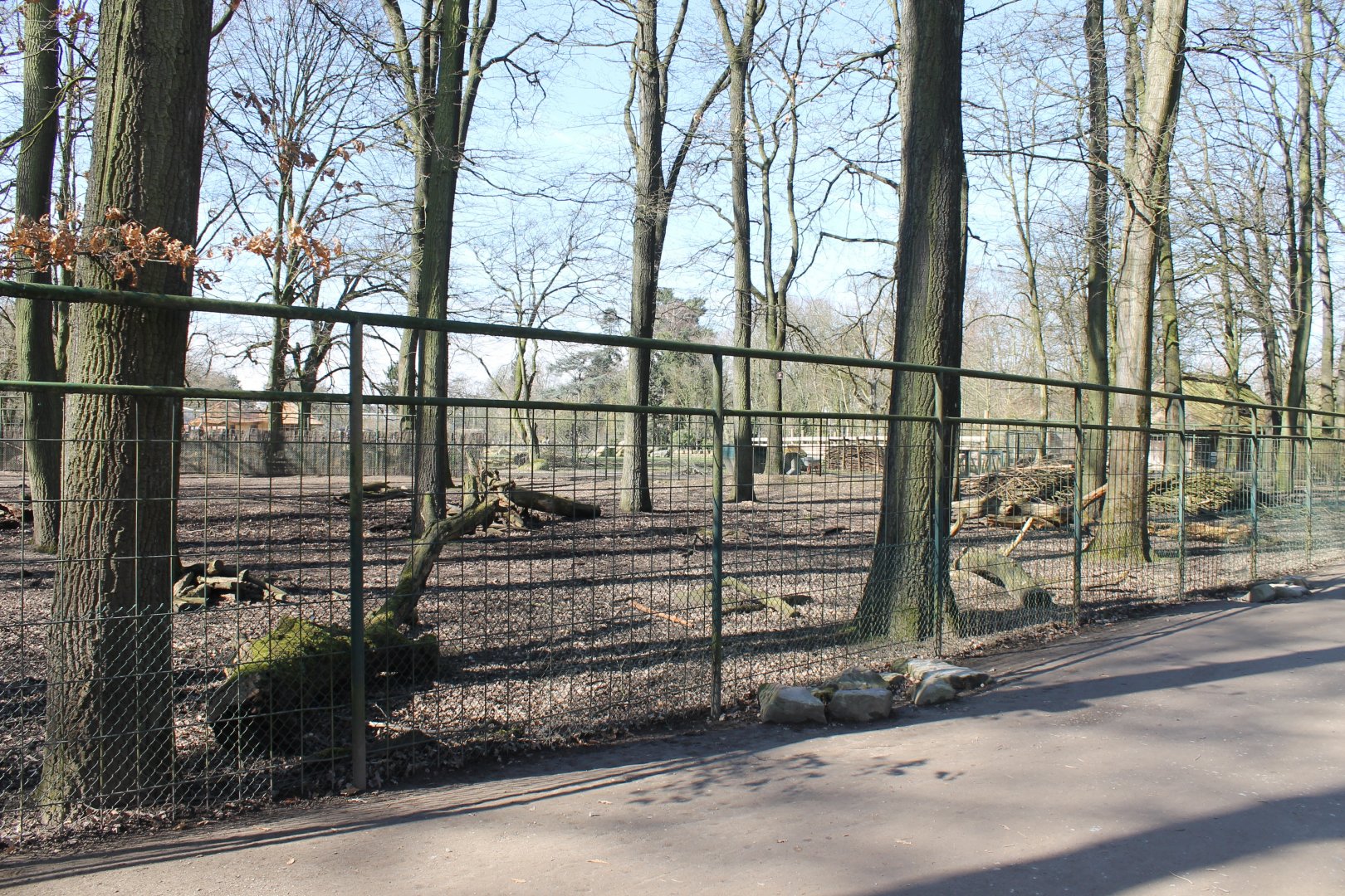 Nilgai and Blackbuck-enclosure