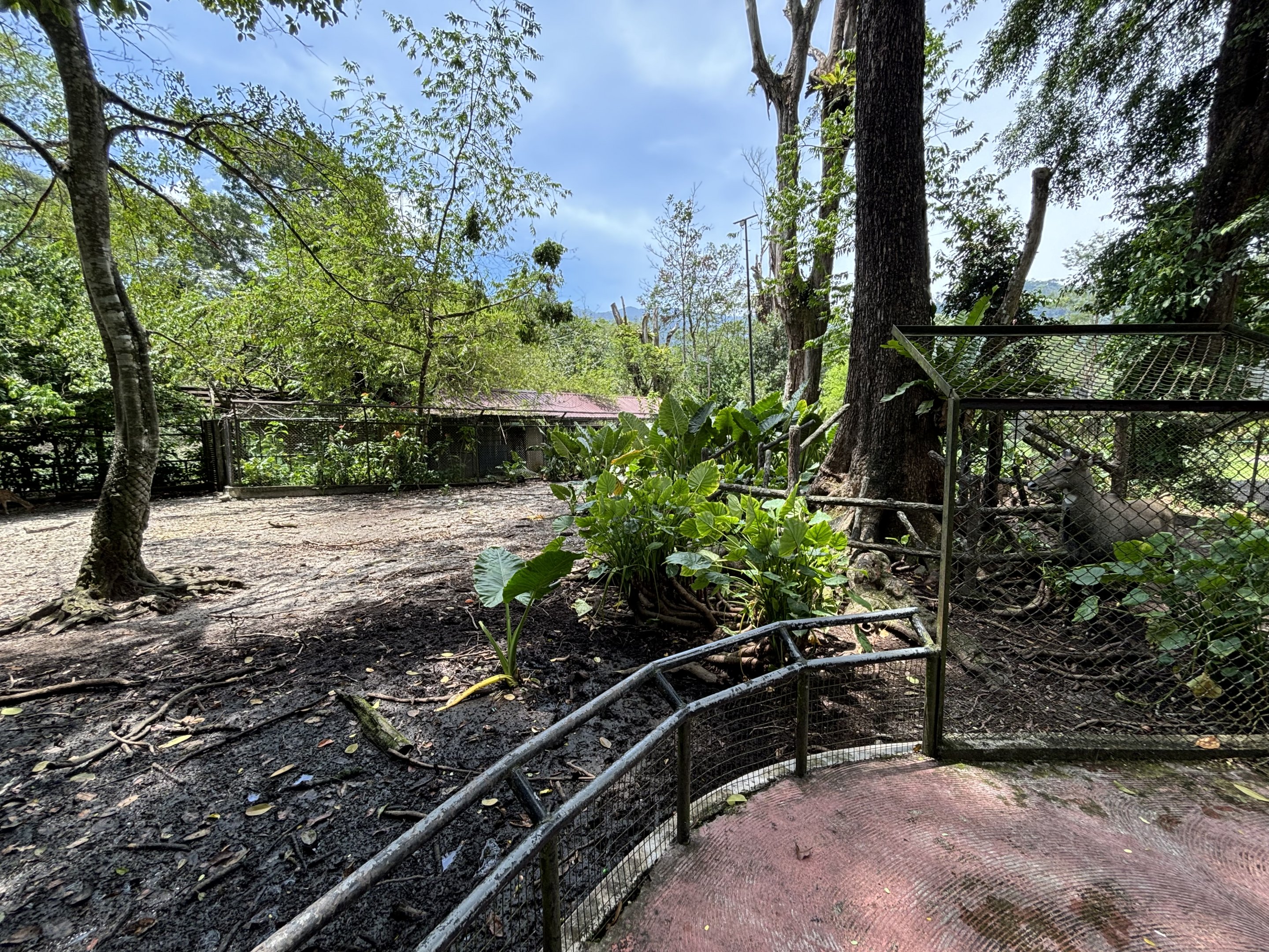 Nilgai/Axis Deer/Demoiselle Crane Exhibit